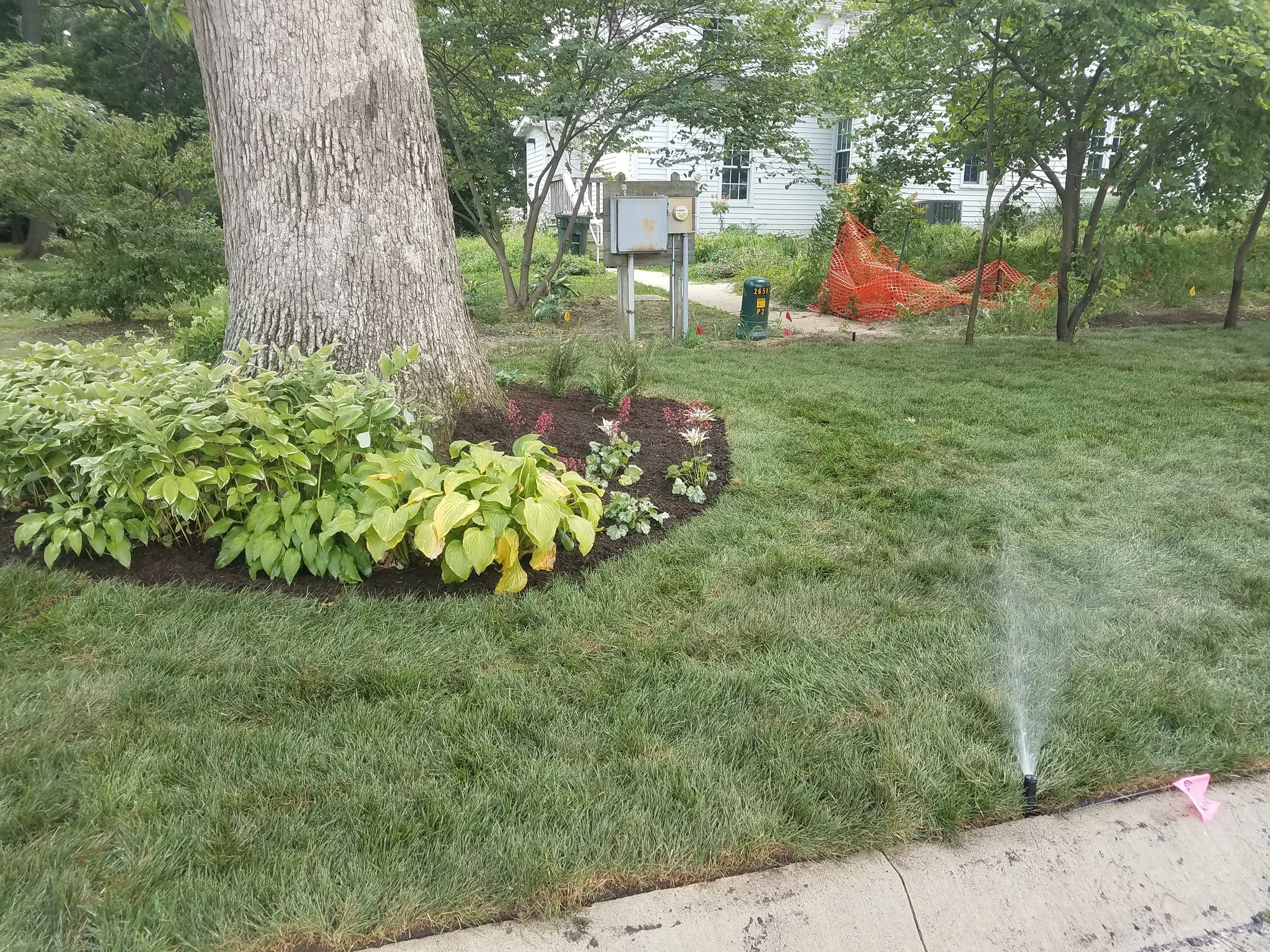 20190726_131601.jpg