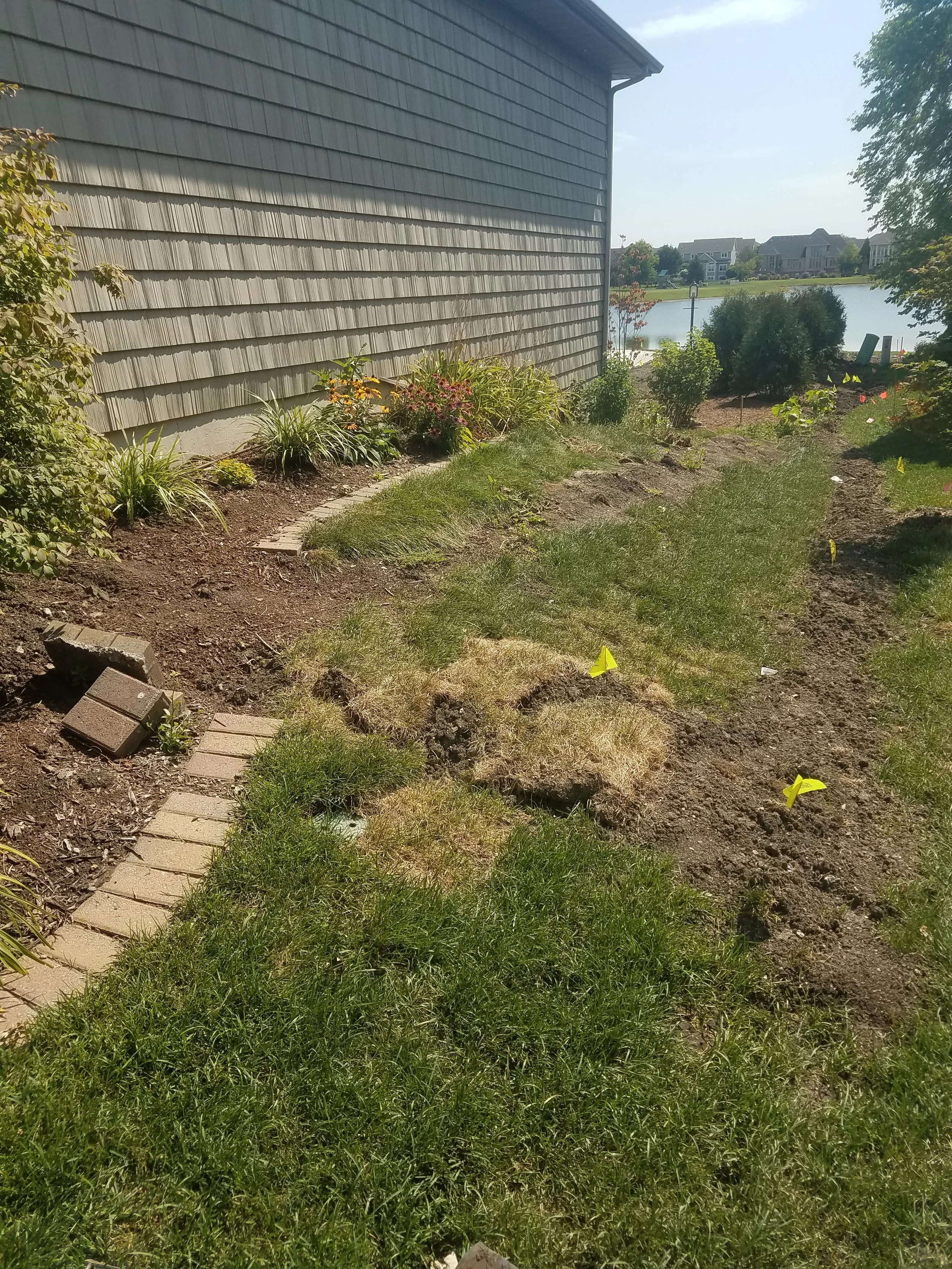20180726_103242.jpg
