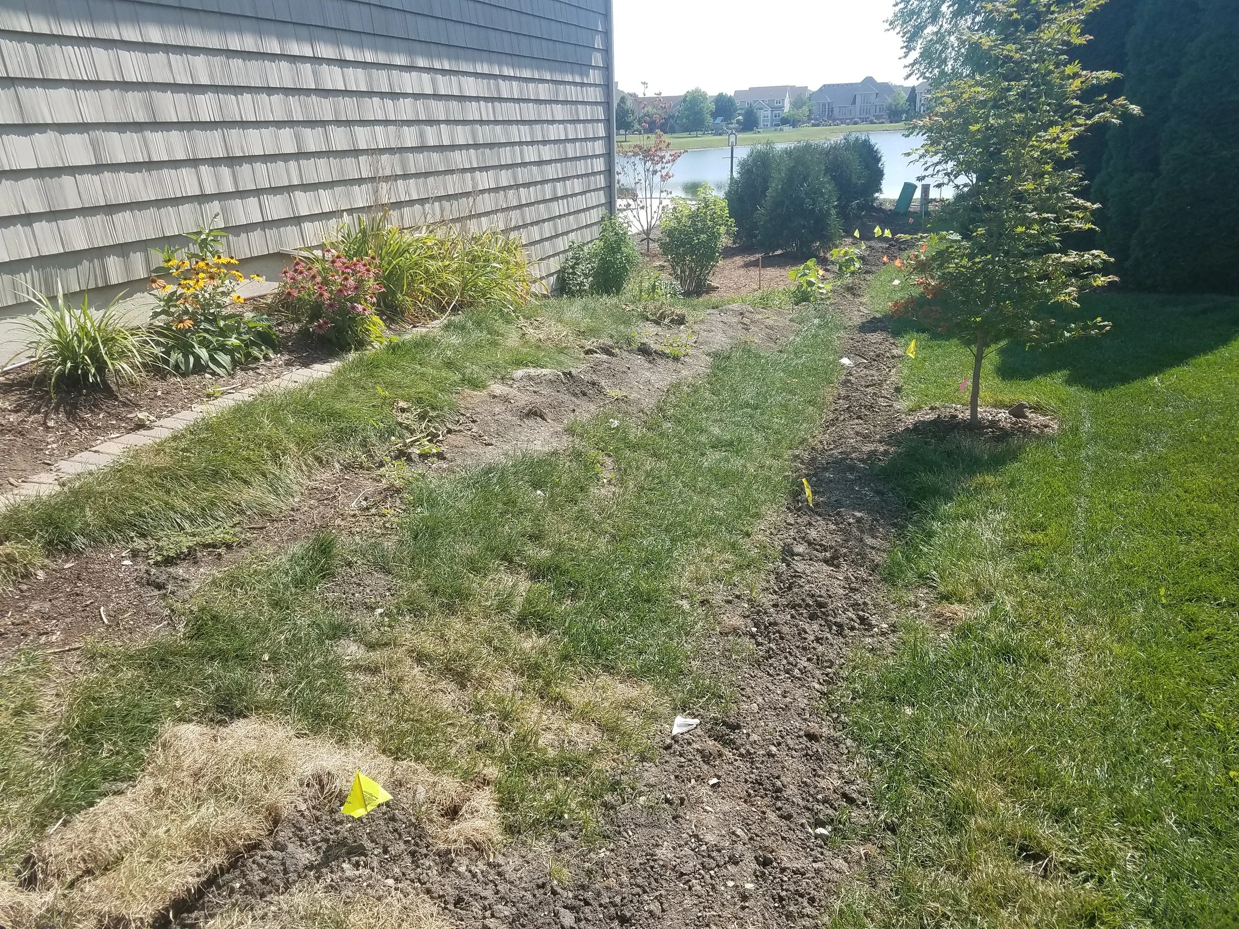 20180726_103249.jpg