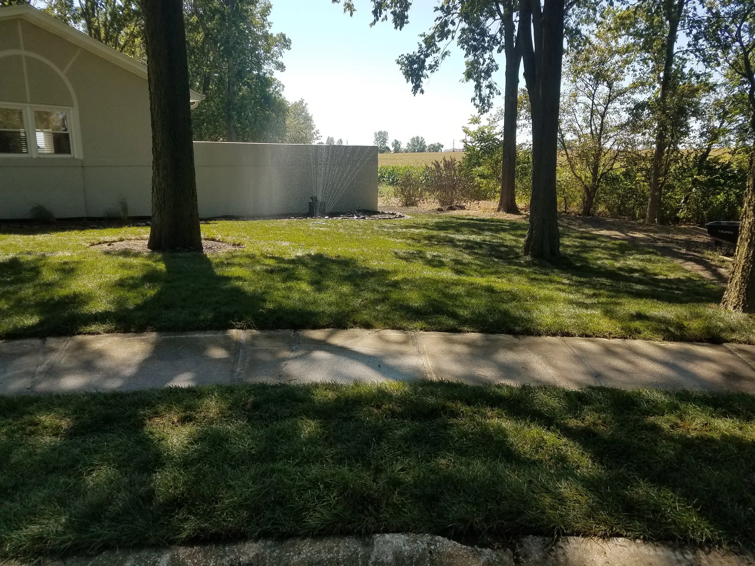 20190914_134217.jpg