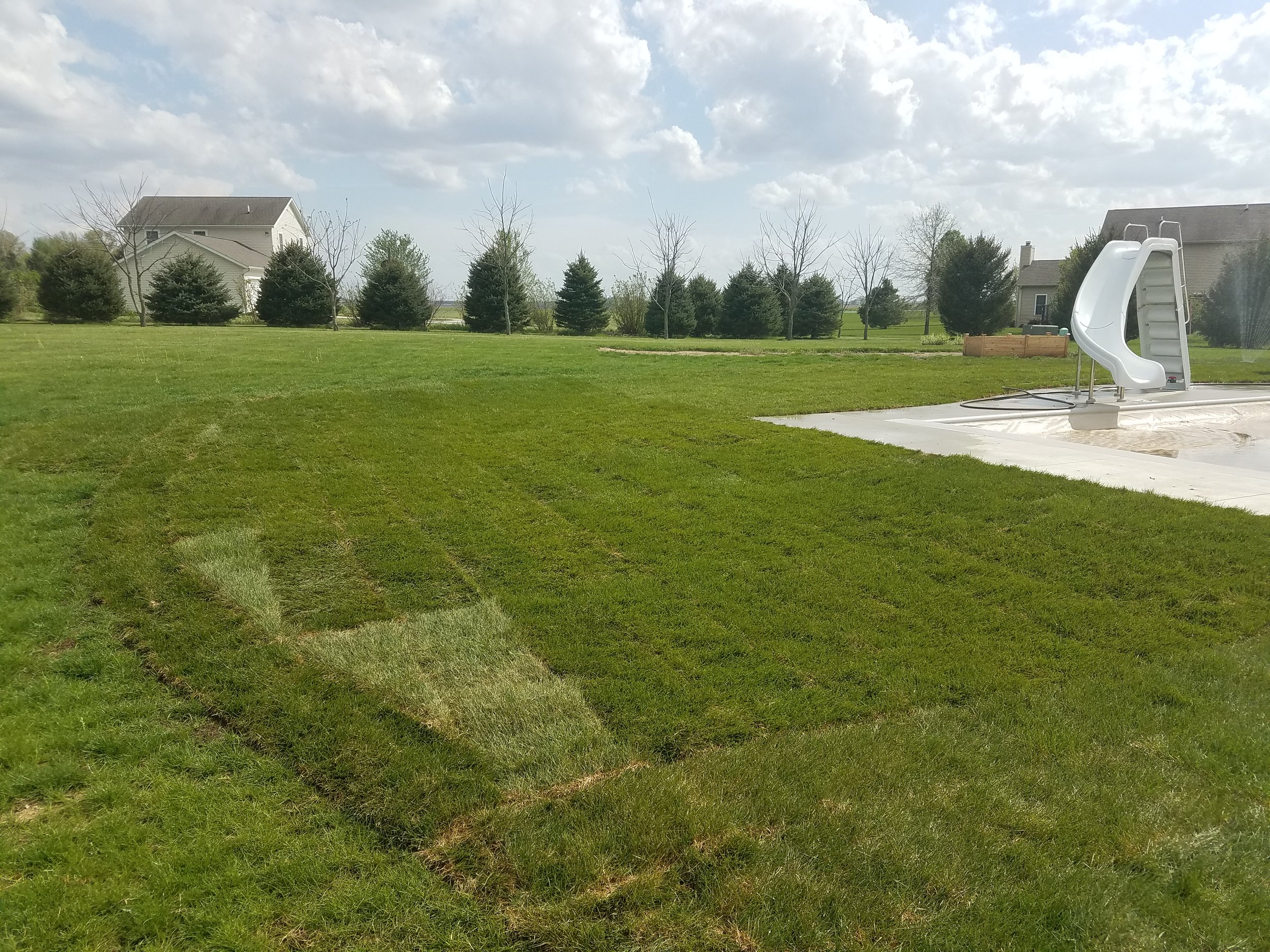 20170420_153102.jpg