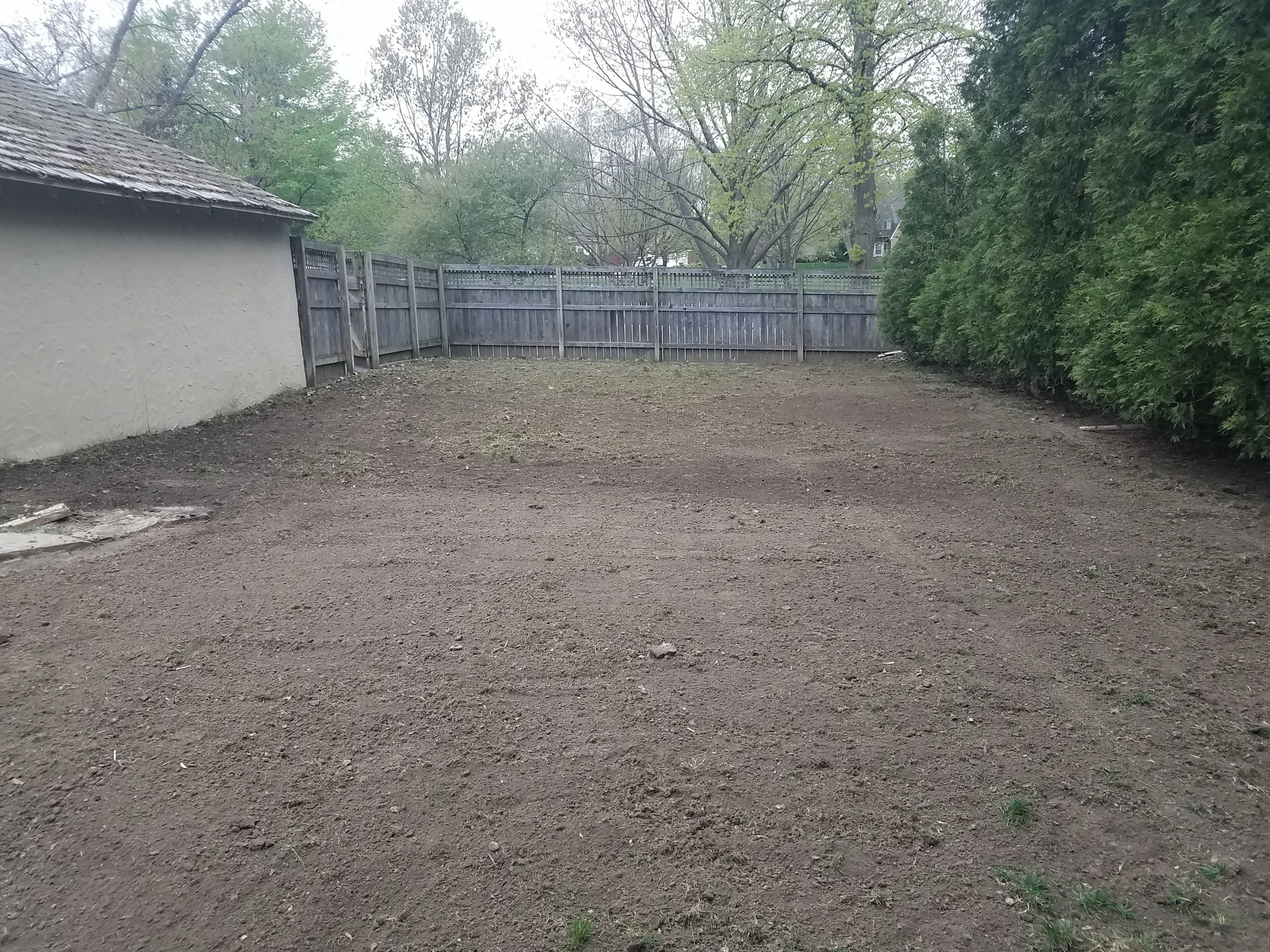 20190424_184107.jpg
