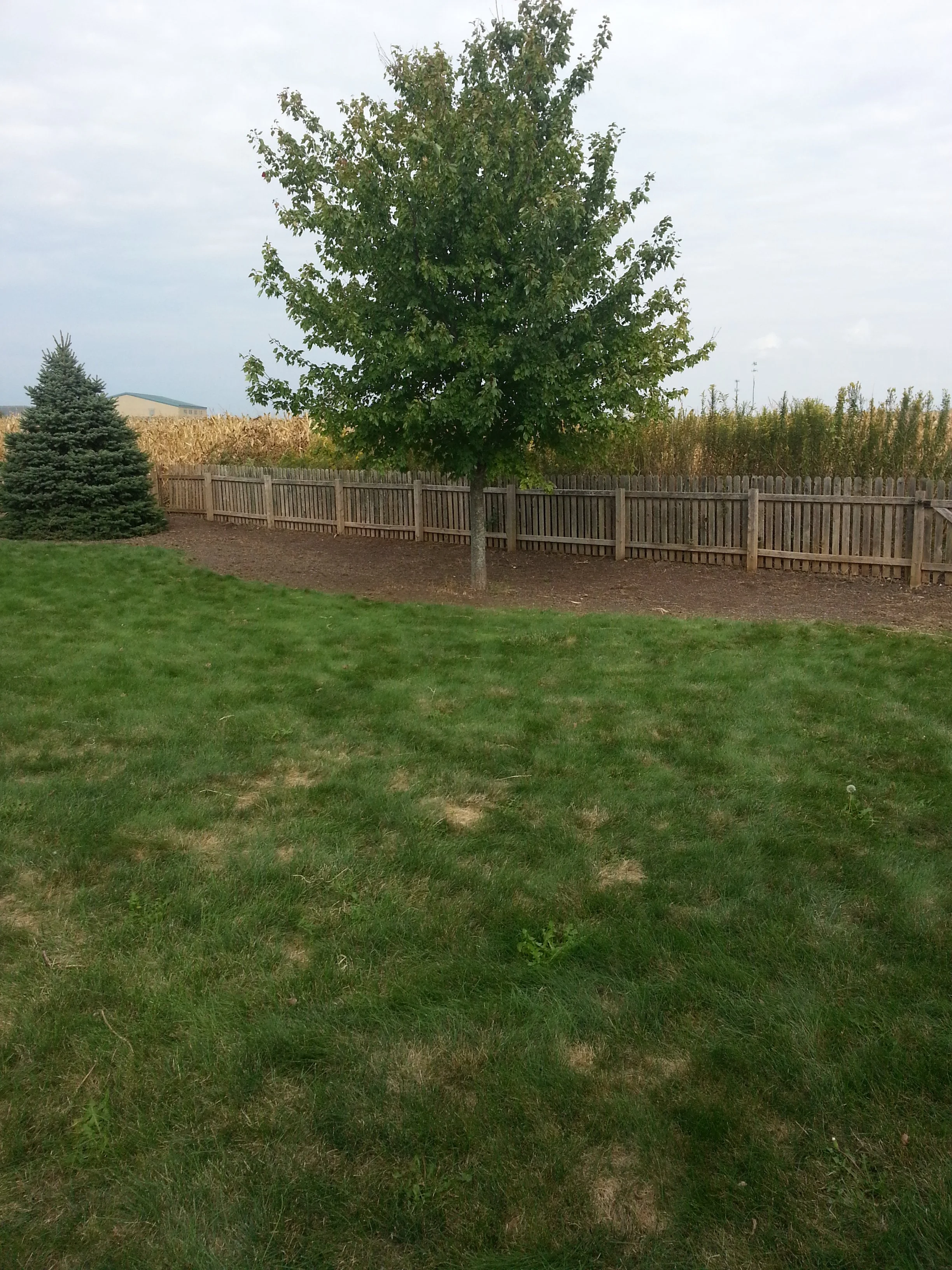 20150928_144044.jpg