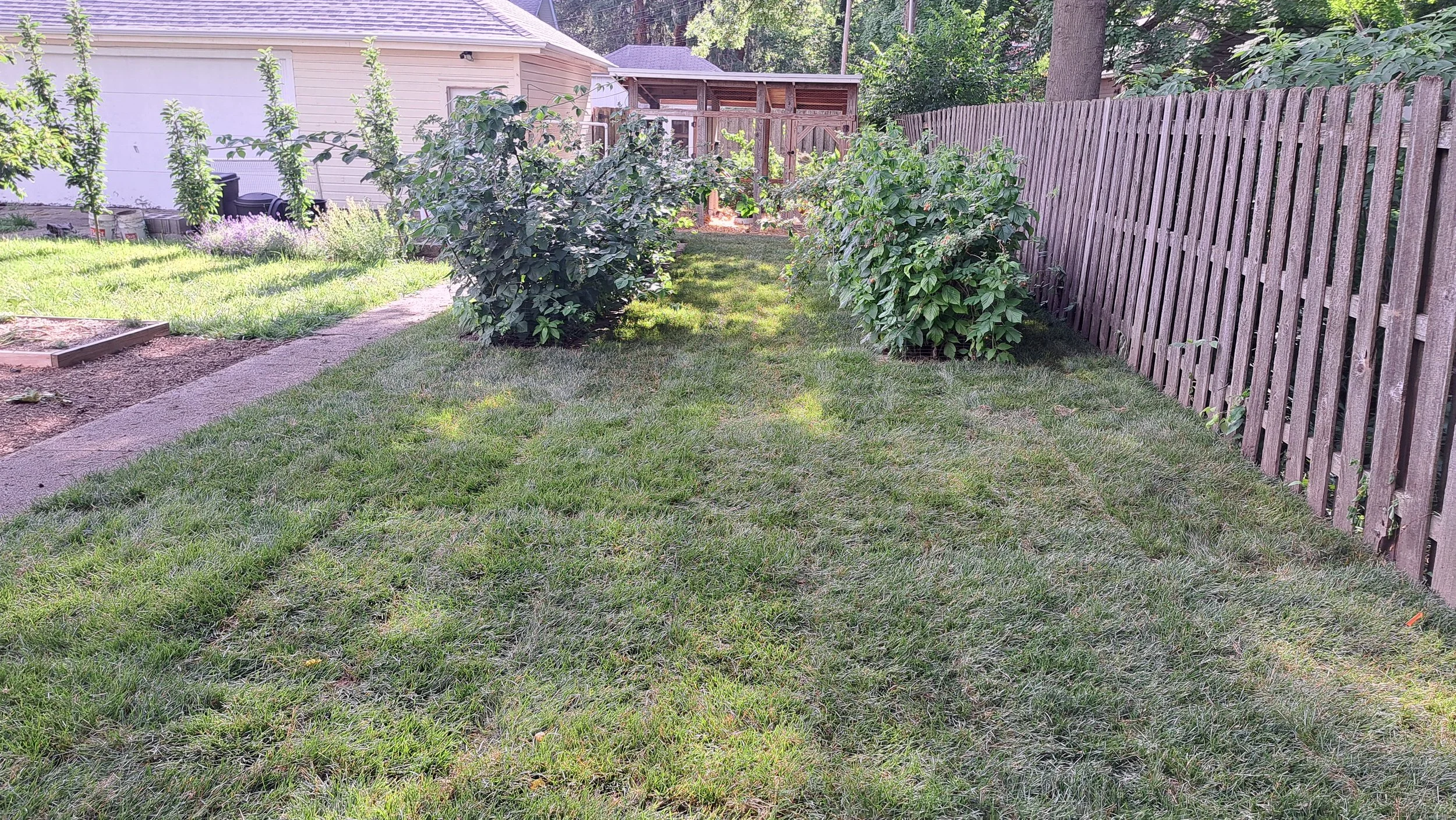 20250620_171206.jpg