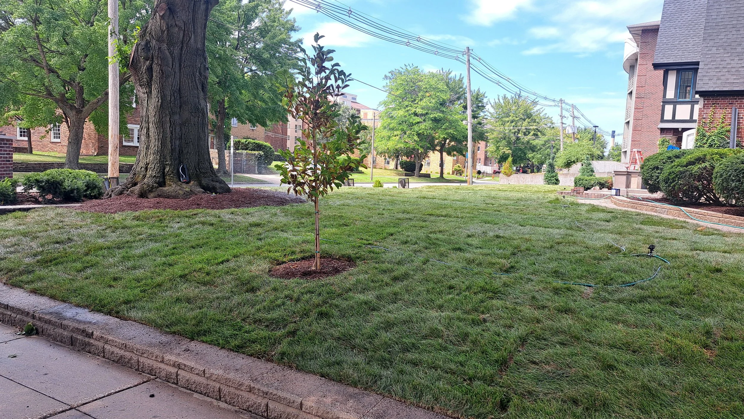 20250812_114015.jpg