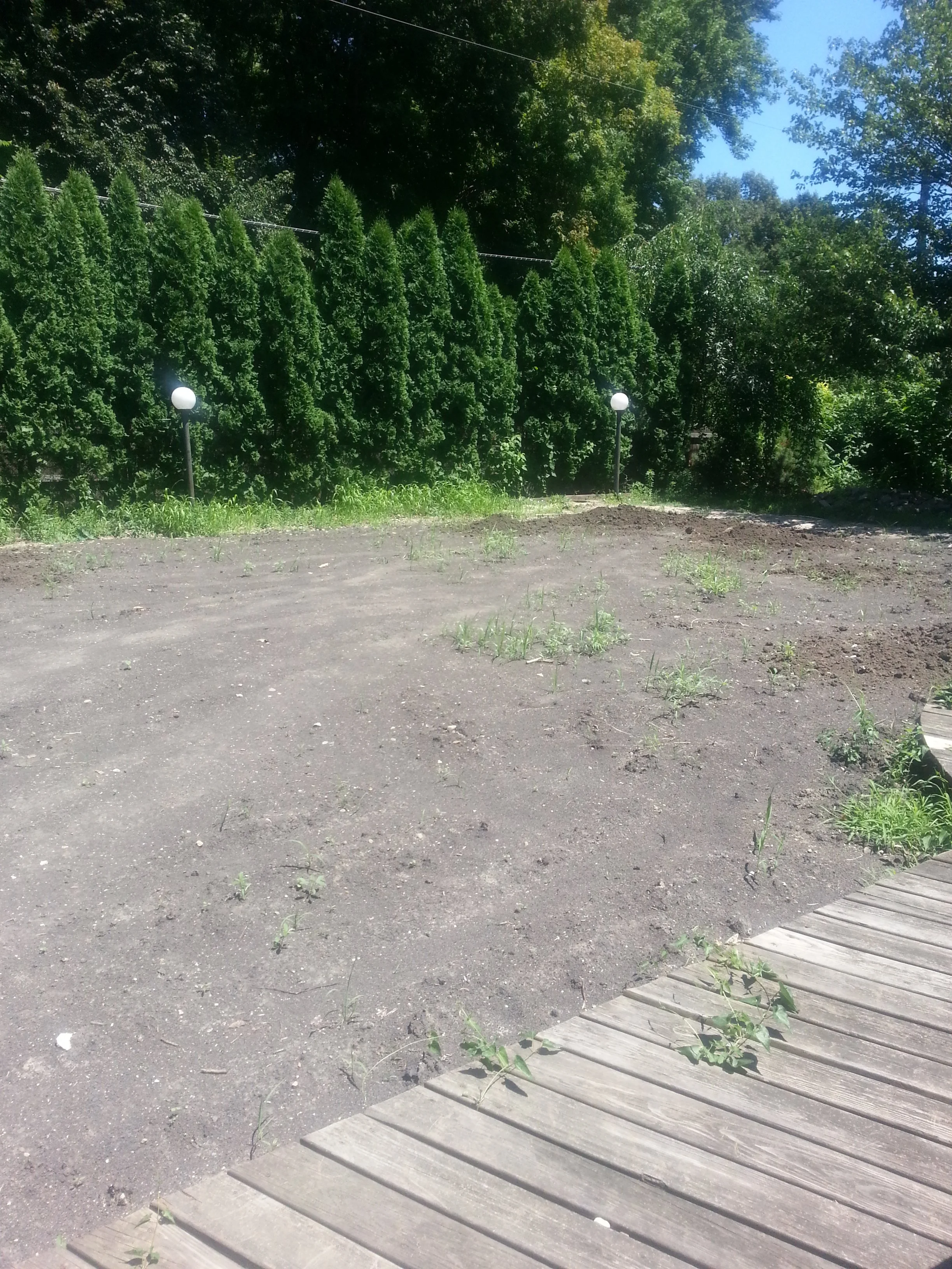 20160629_115953.jpg
