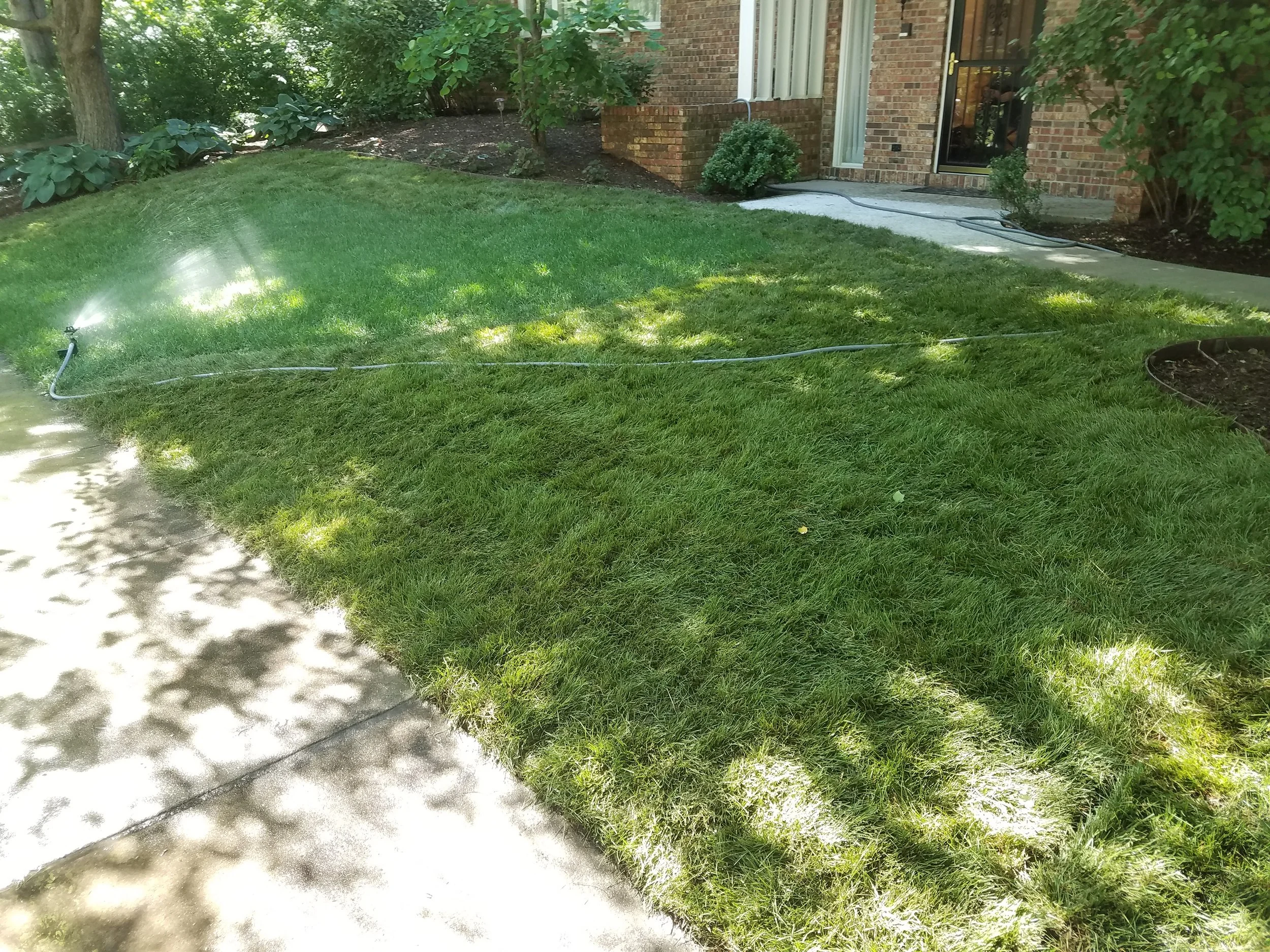 20180605_155619.jpg