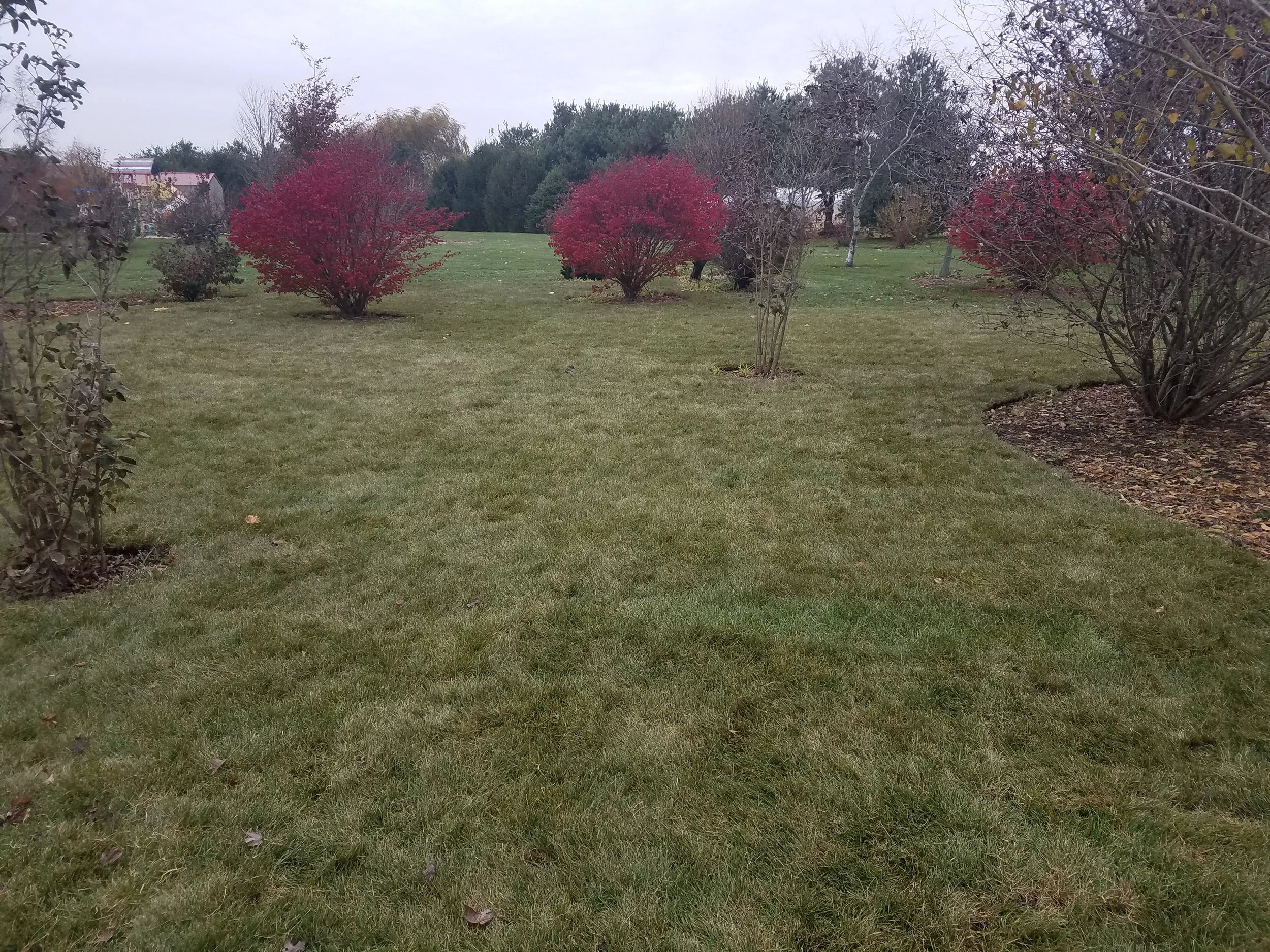 20171117_140658.jpg
