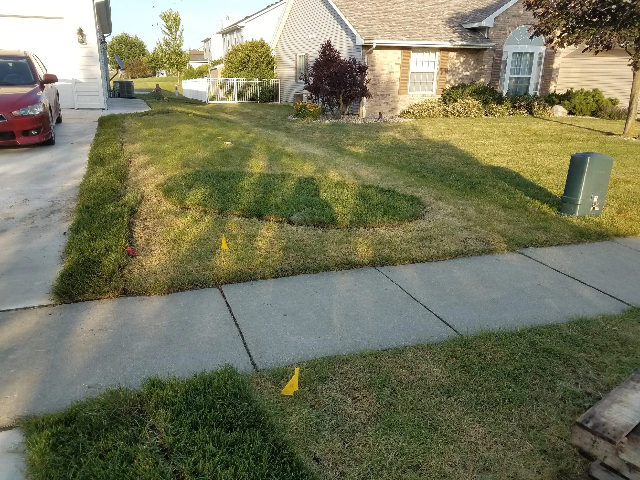 20170609_190448.jpg