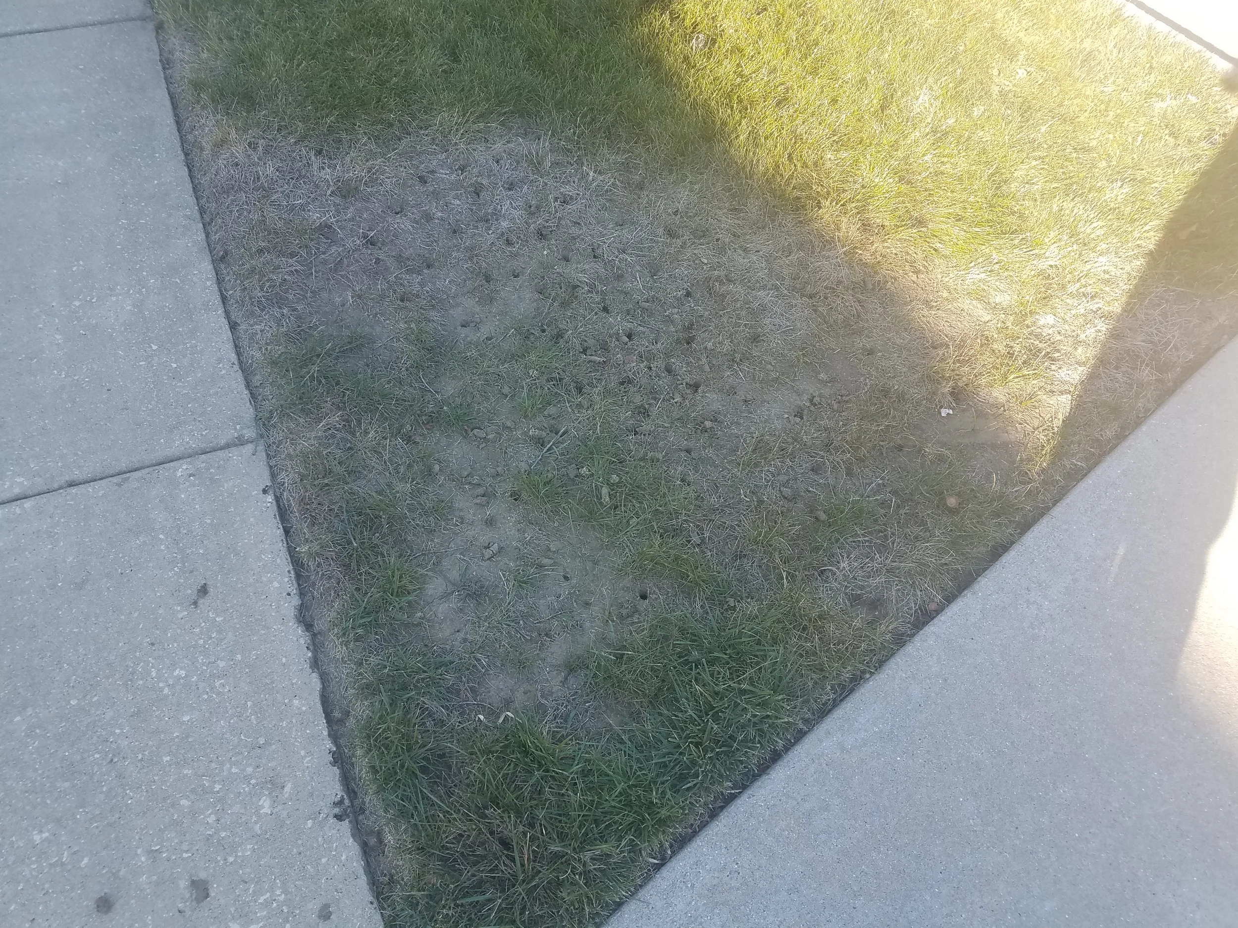 20181018_161152.jpg