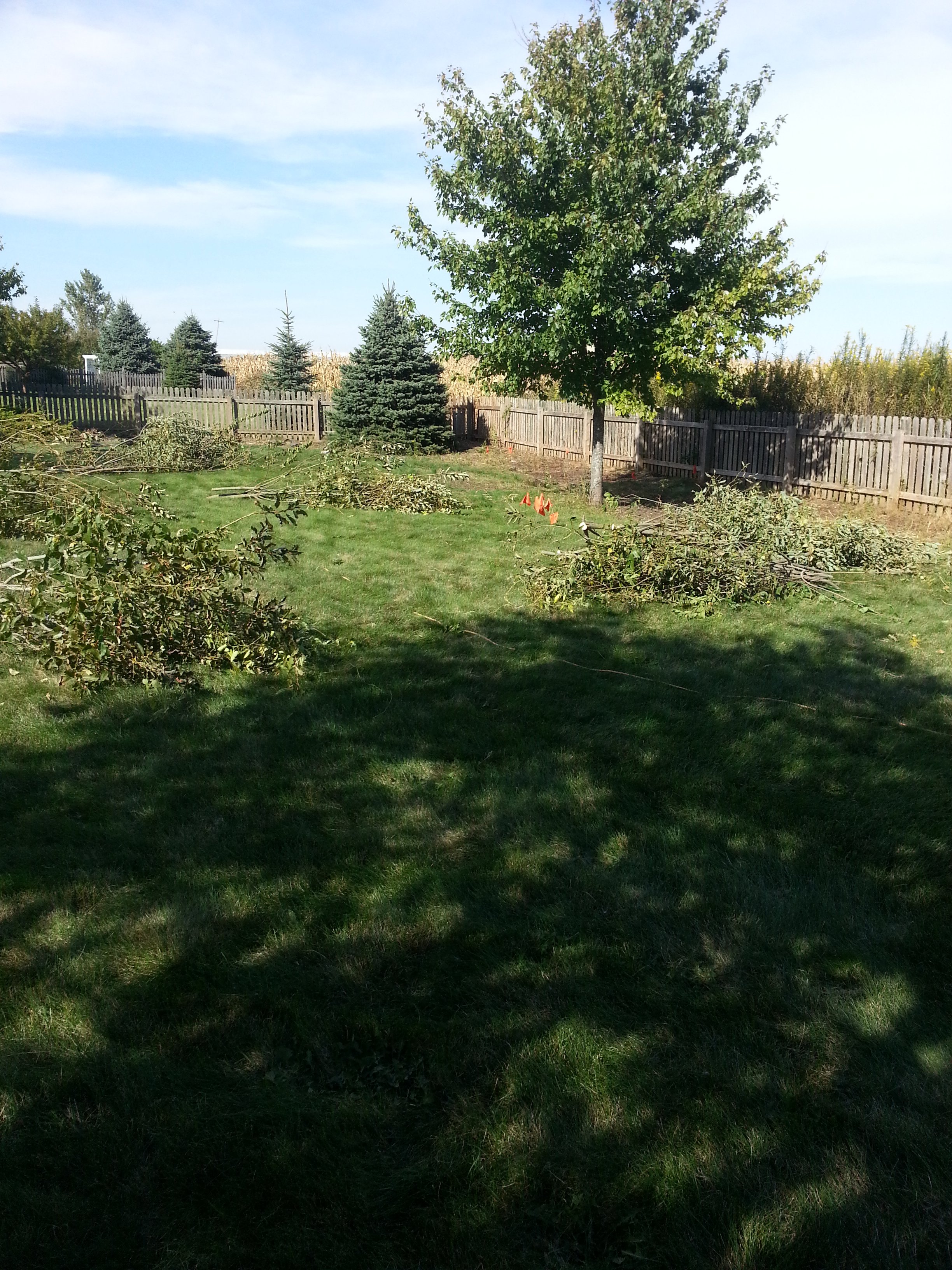 20150923_153107.jpg