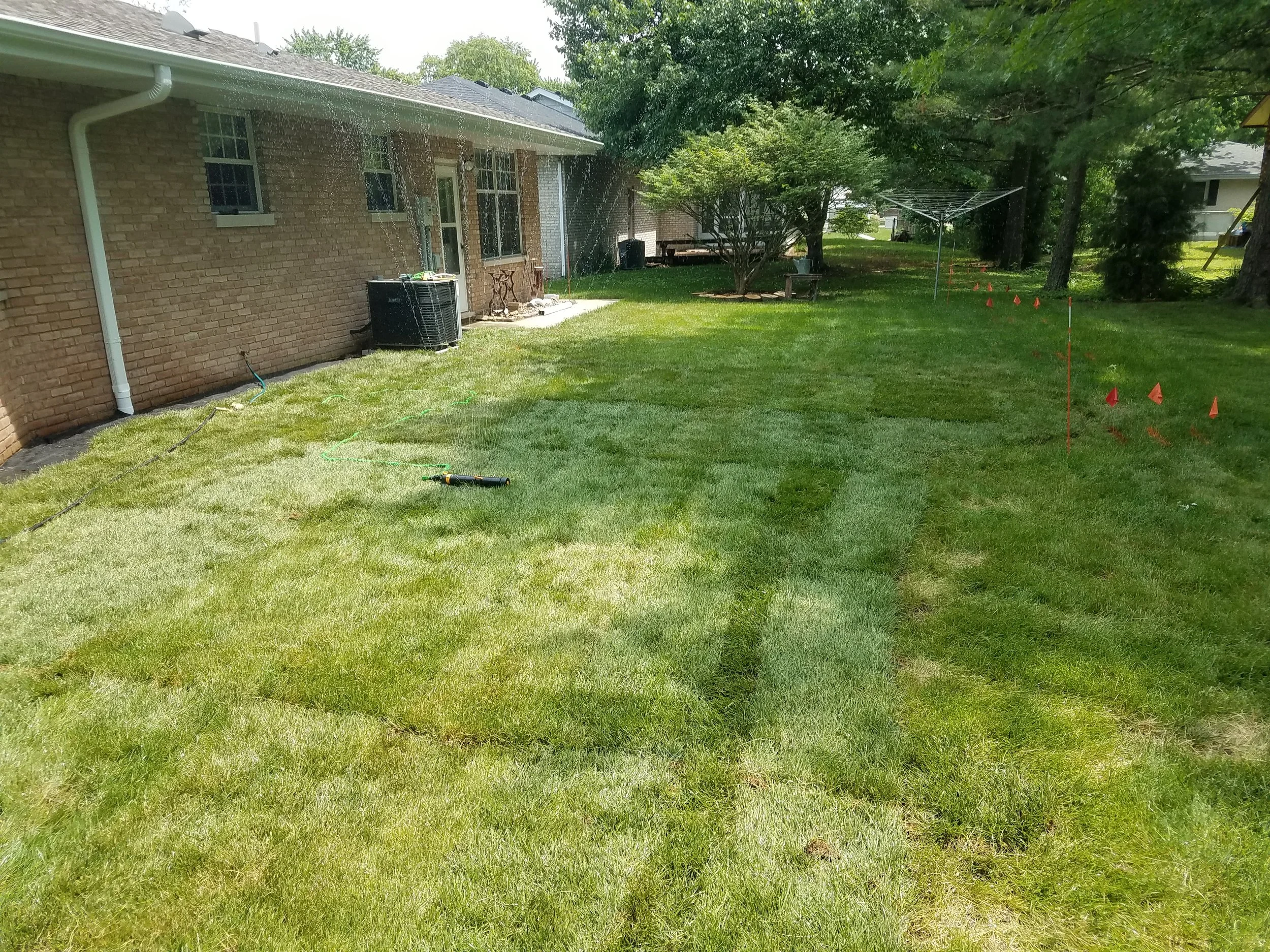 20180606_122307.jpg