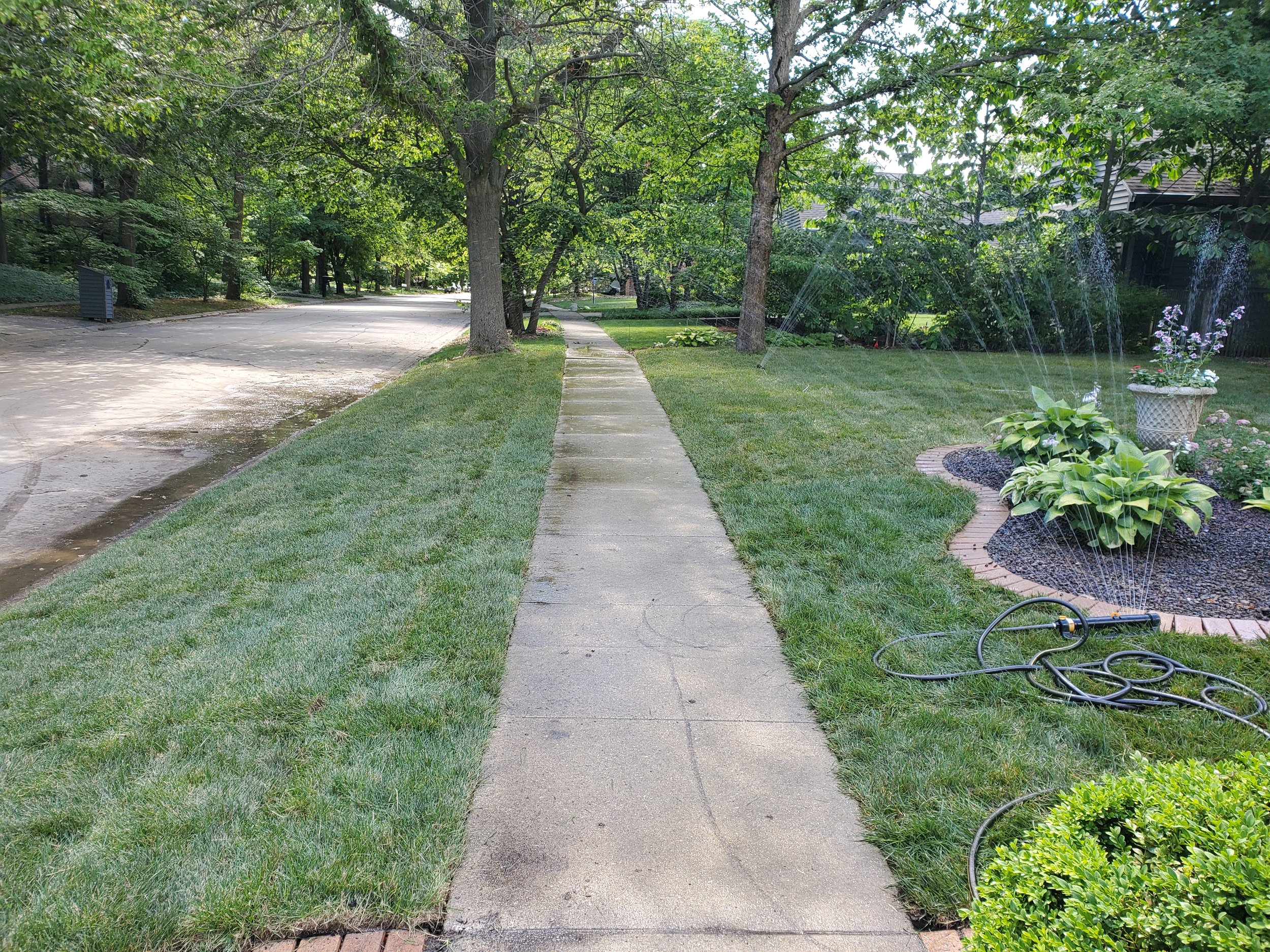 20200625_152715.jpg