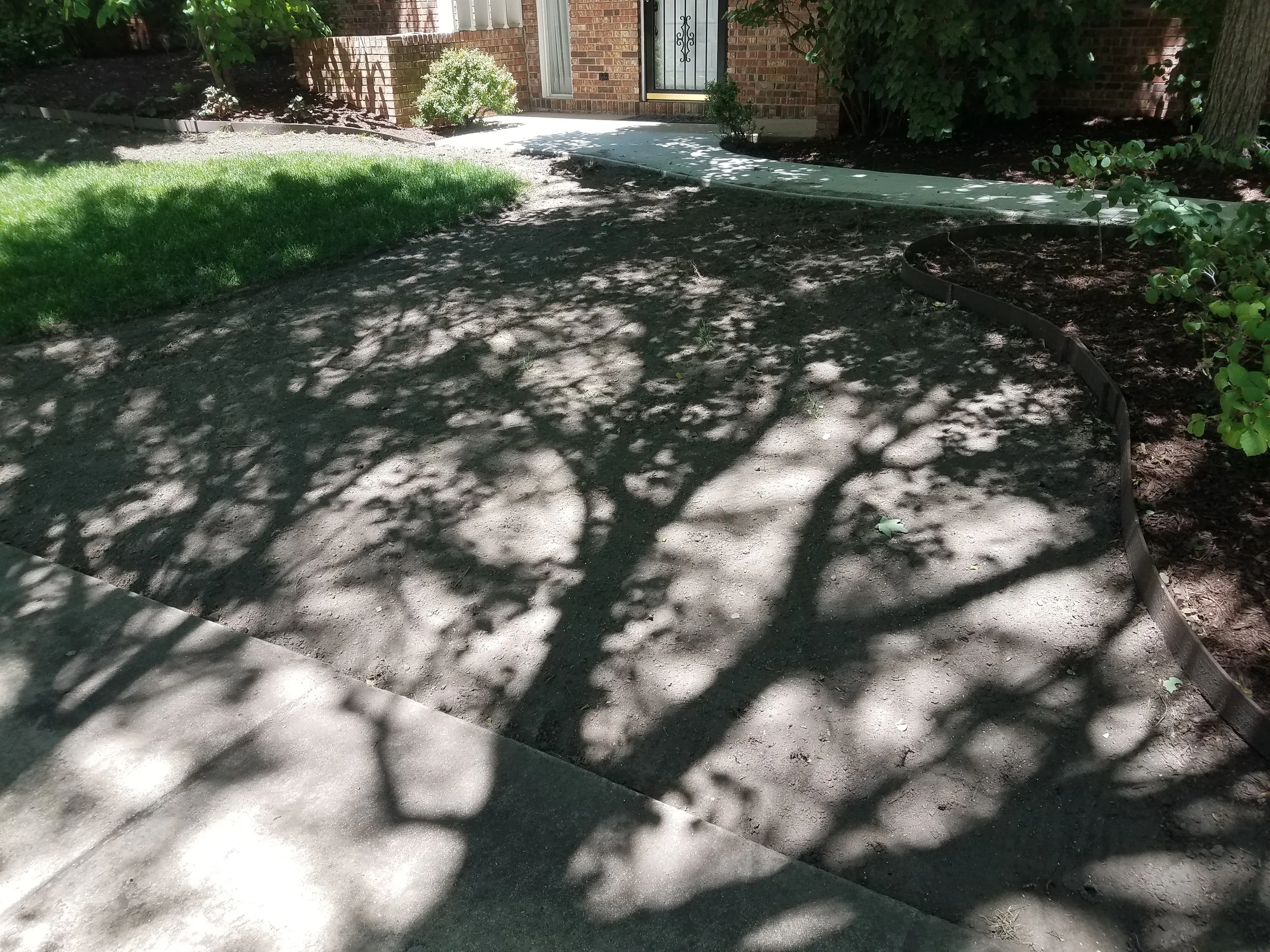 20180605_125119.jpg