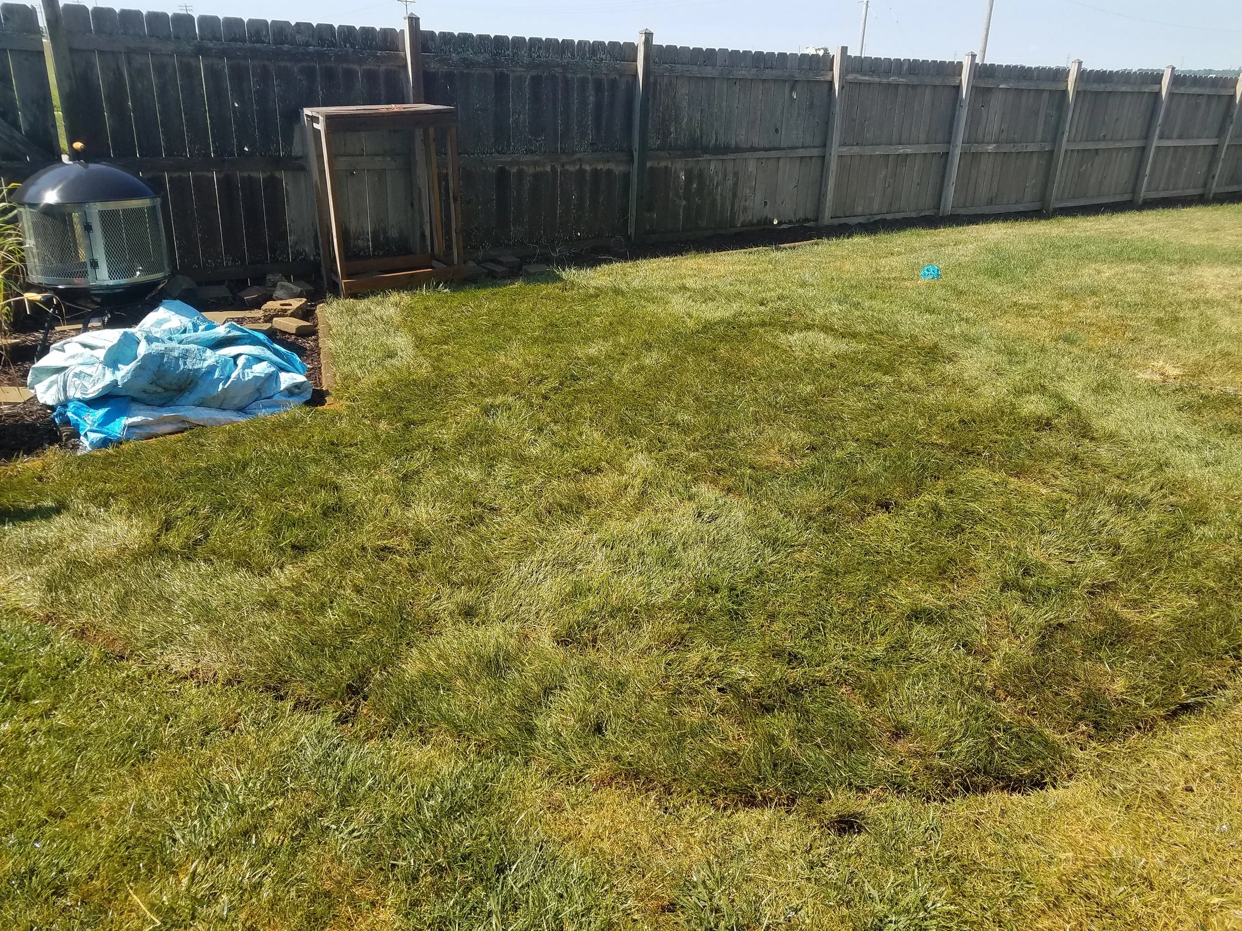 20190801_104258.jpg