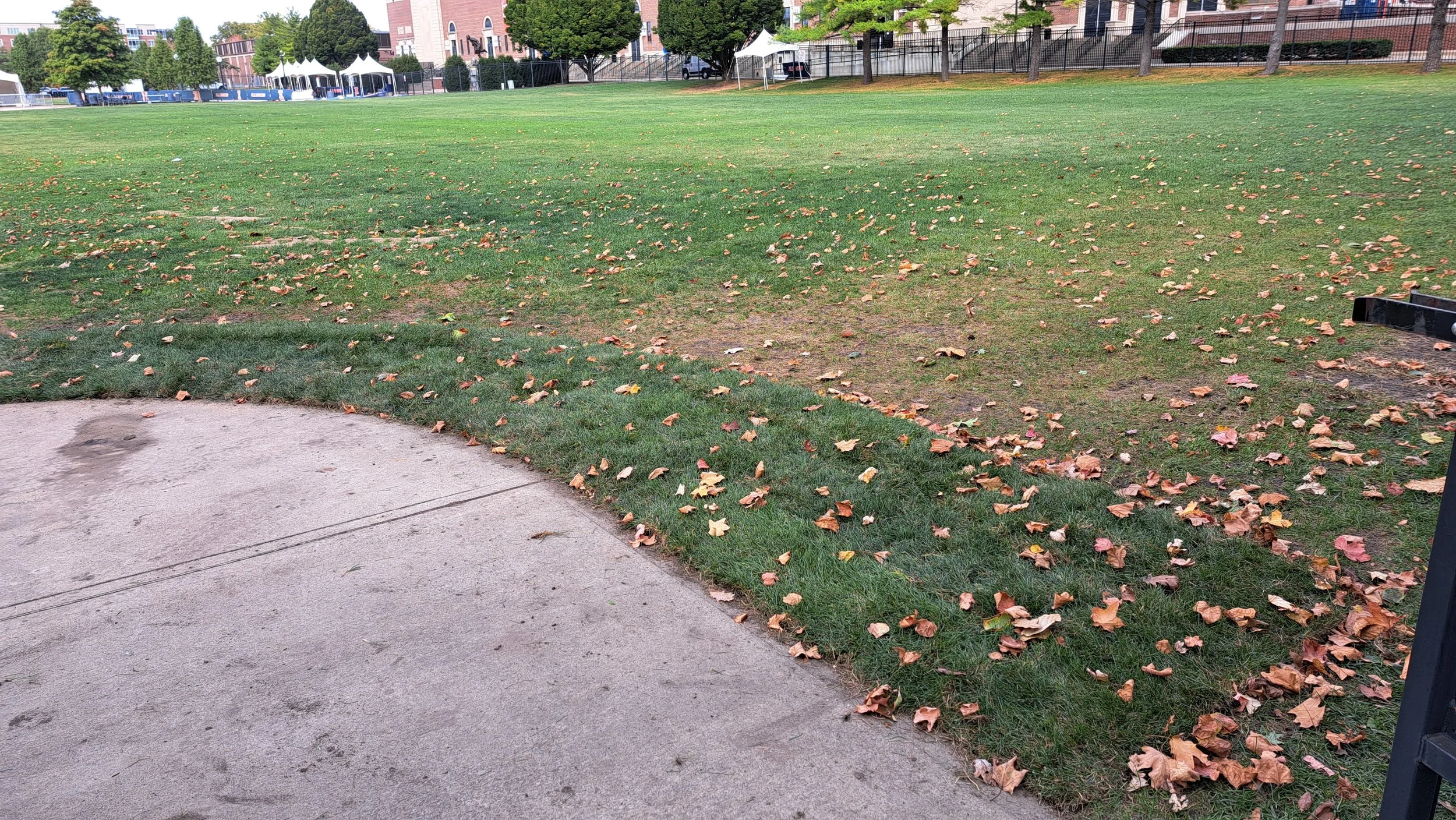 20251021_142351.jpg