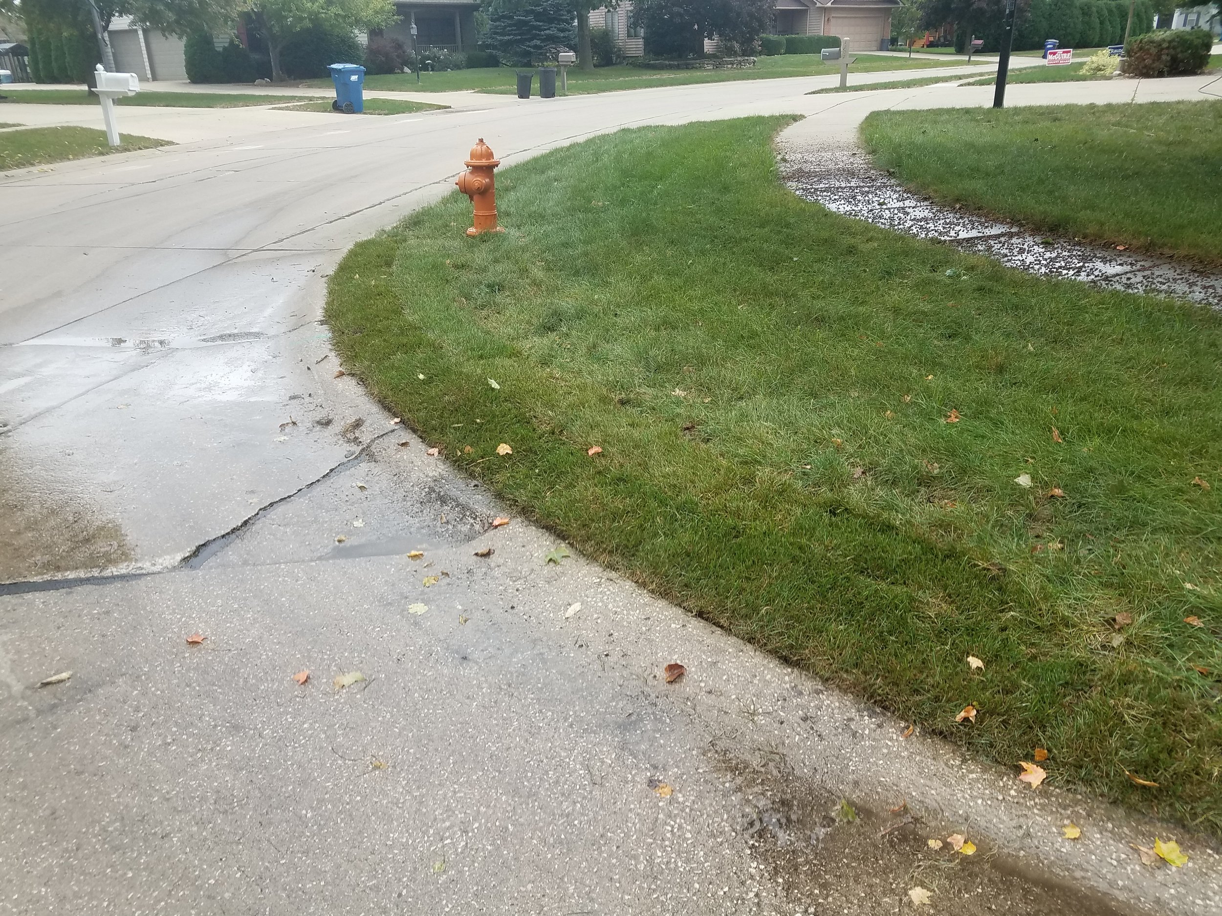 20181002_121239.jpg