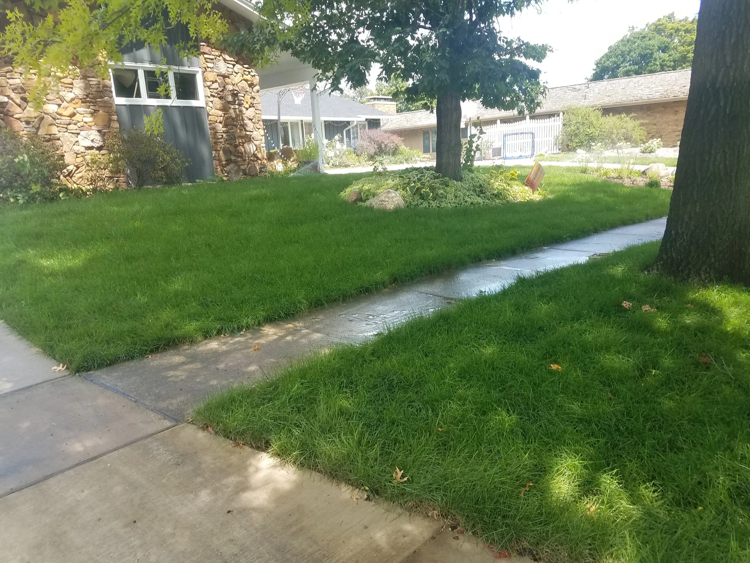 20180719_135338.jpg