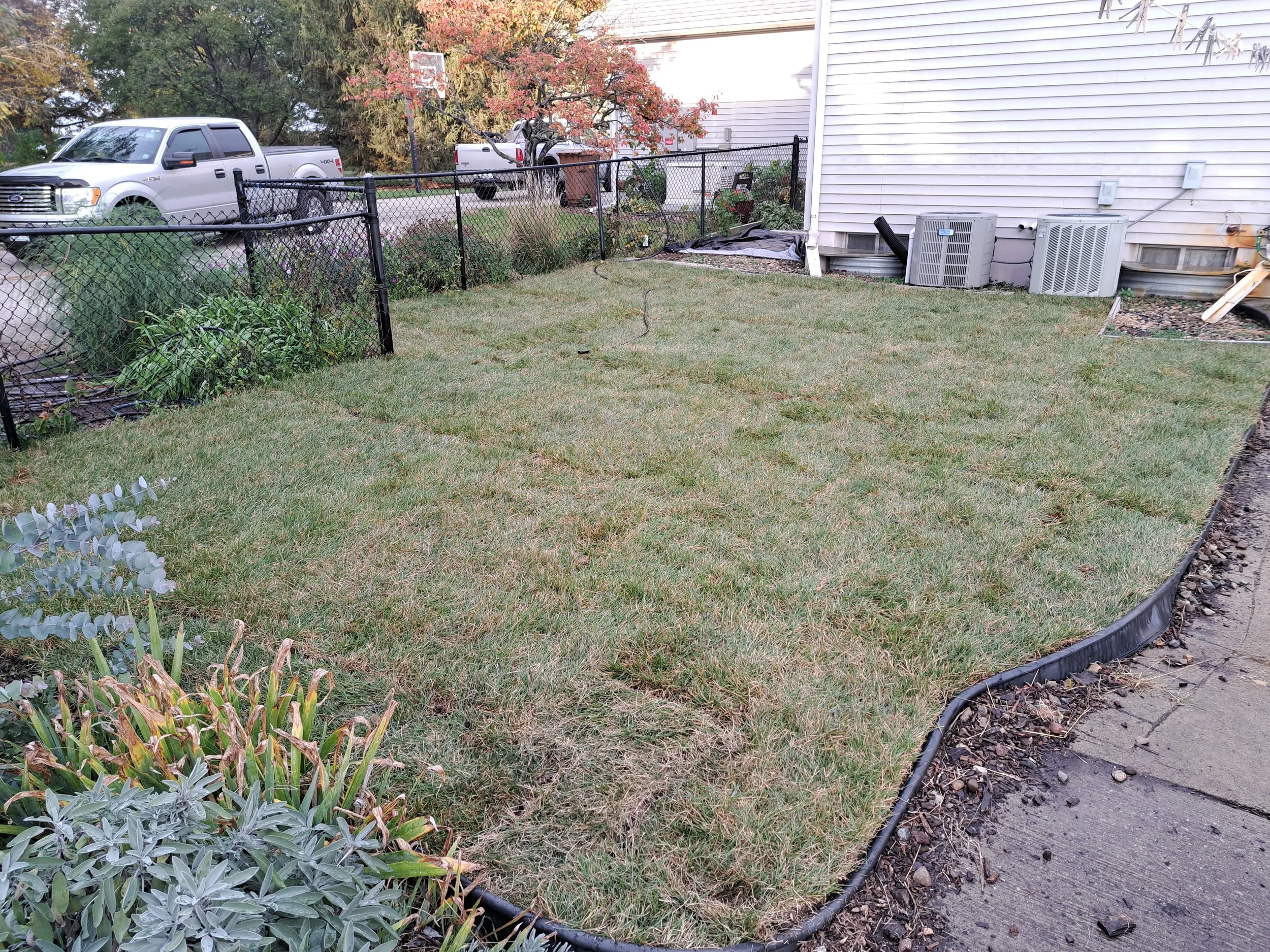 20231024_171651.jpg