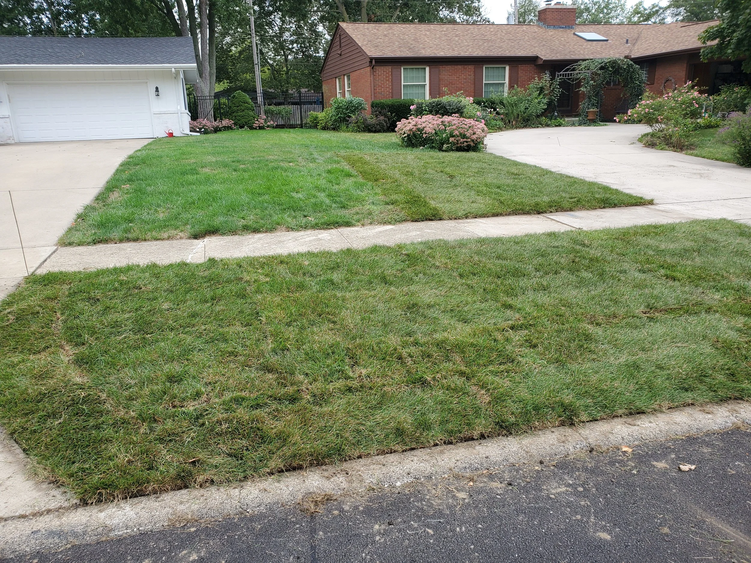 20200911_124116.jpg