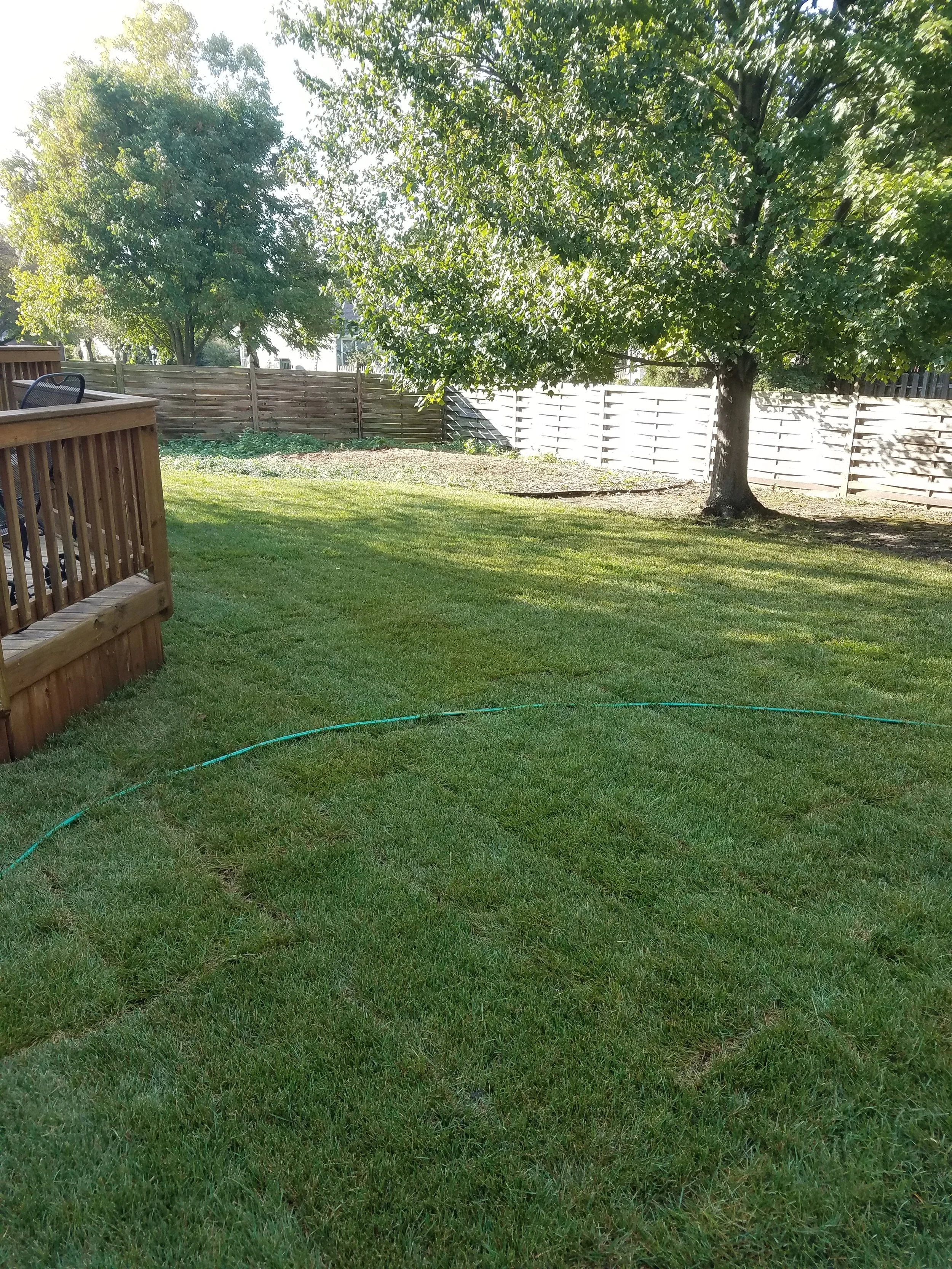 20161004_160617.jpg