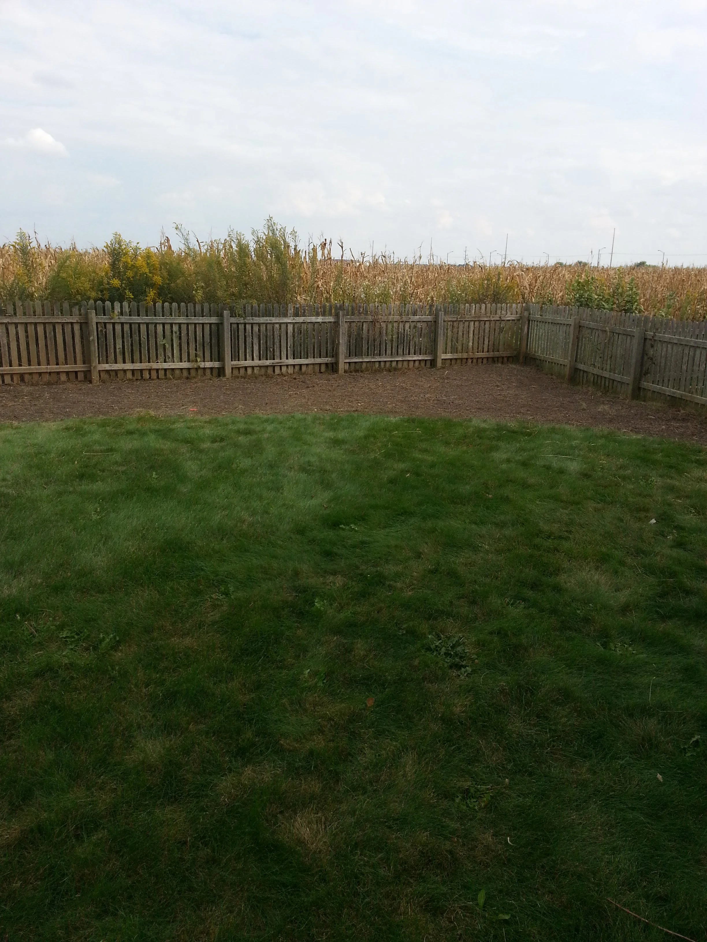 20150928_144041.jpg
