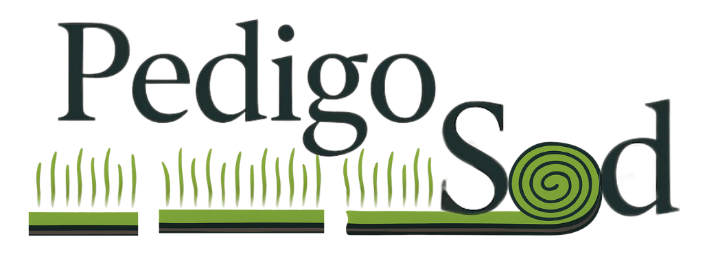 Pedigo Sod