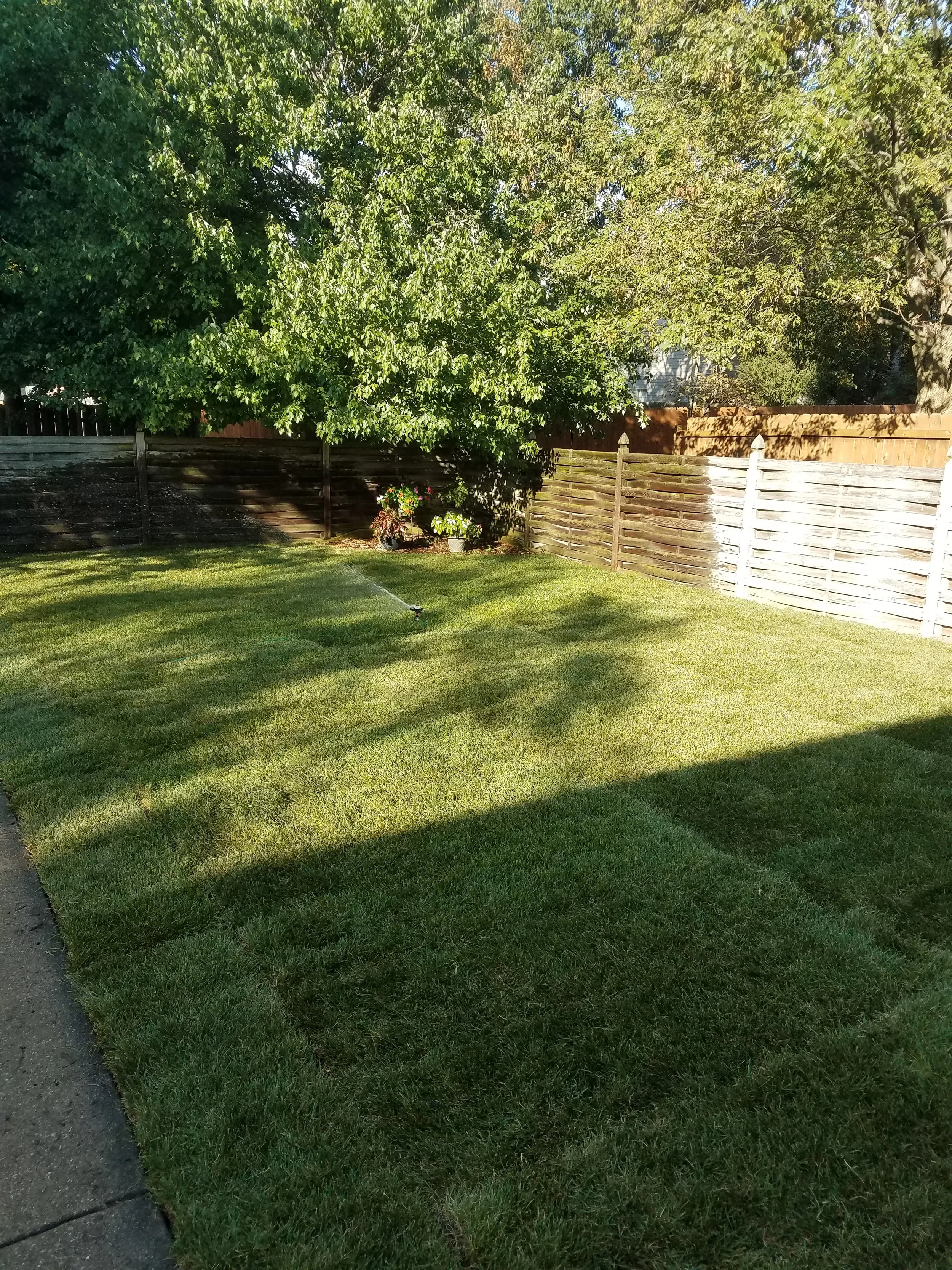 20161004_160622.jpg