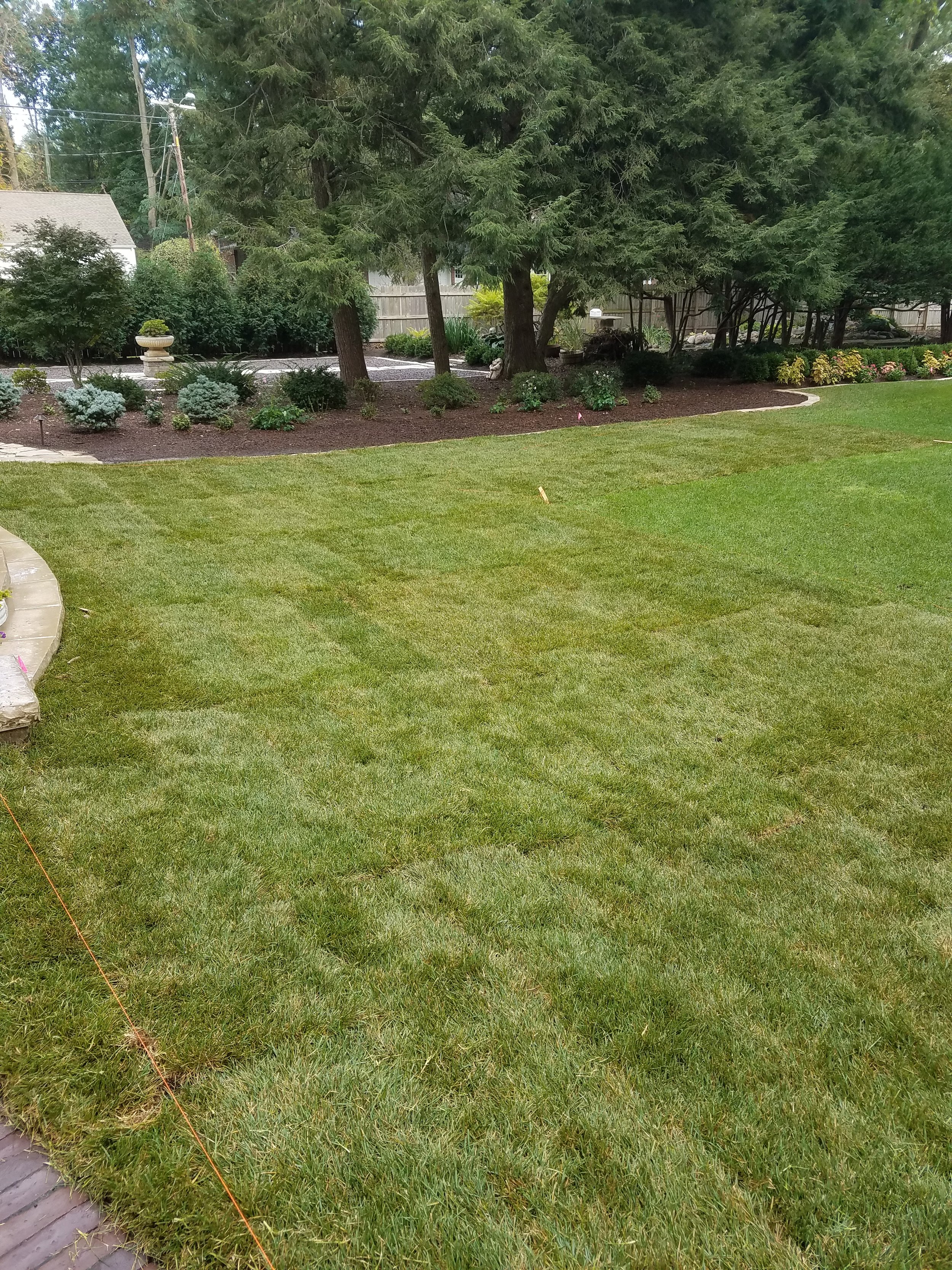 20160923_161718.jpg