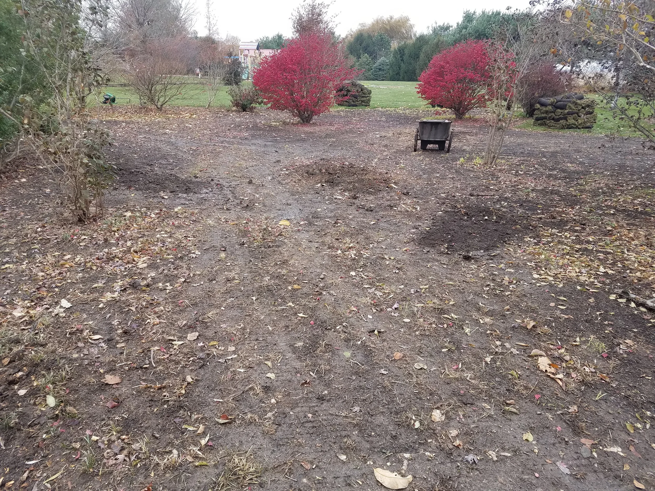20171117_103202.jpg