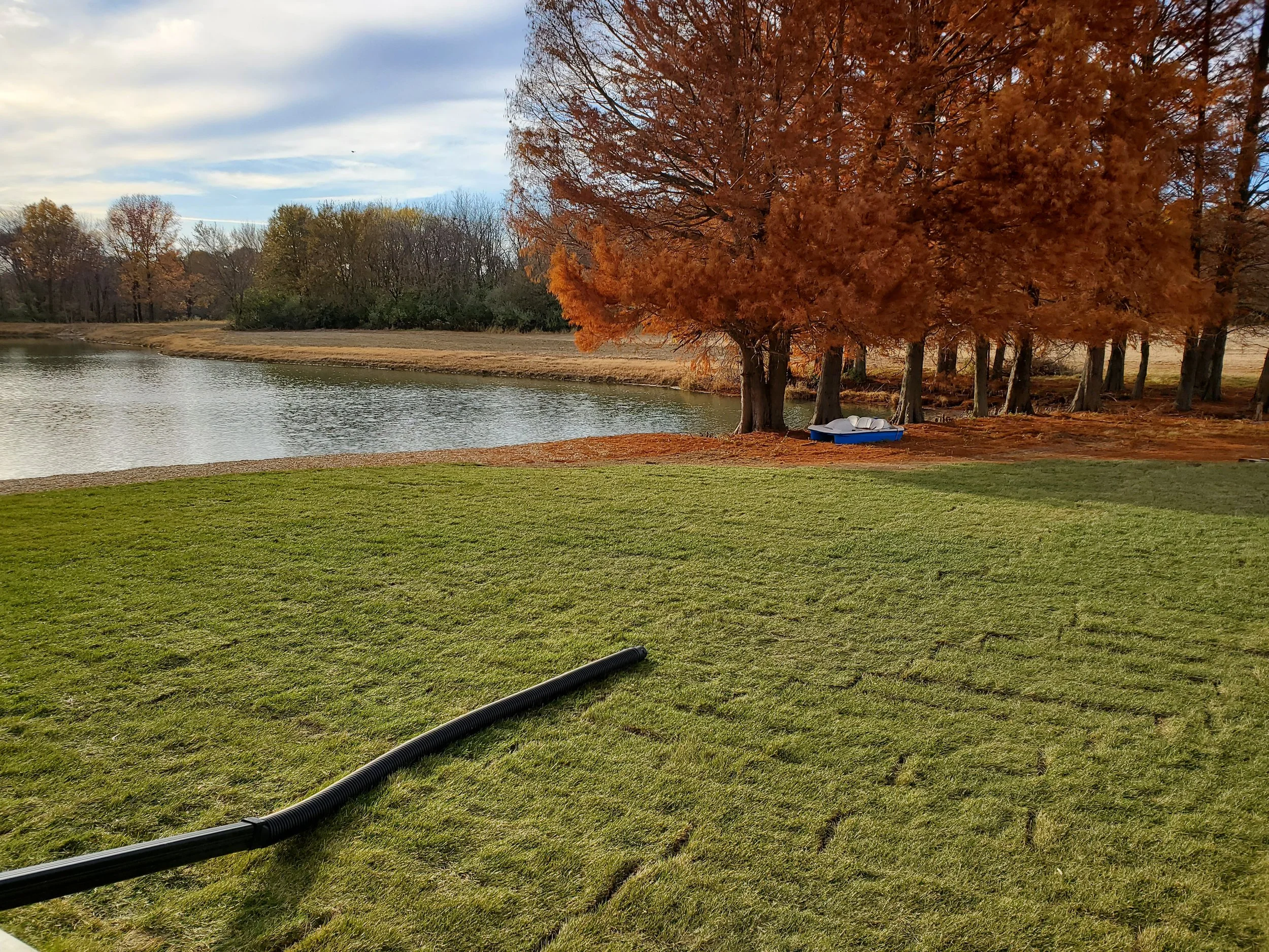20201104_145533.jpg