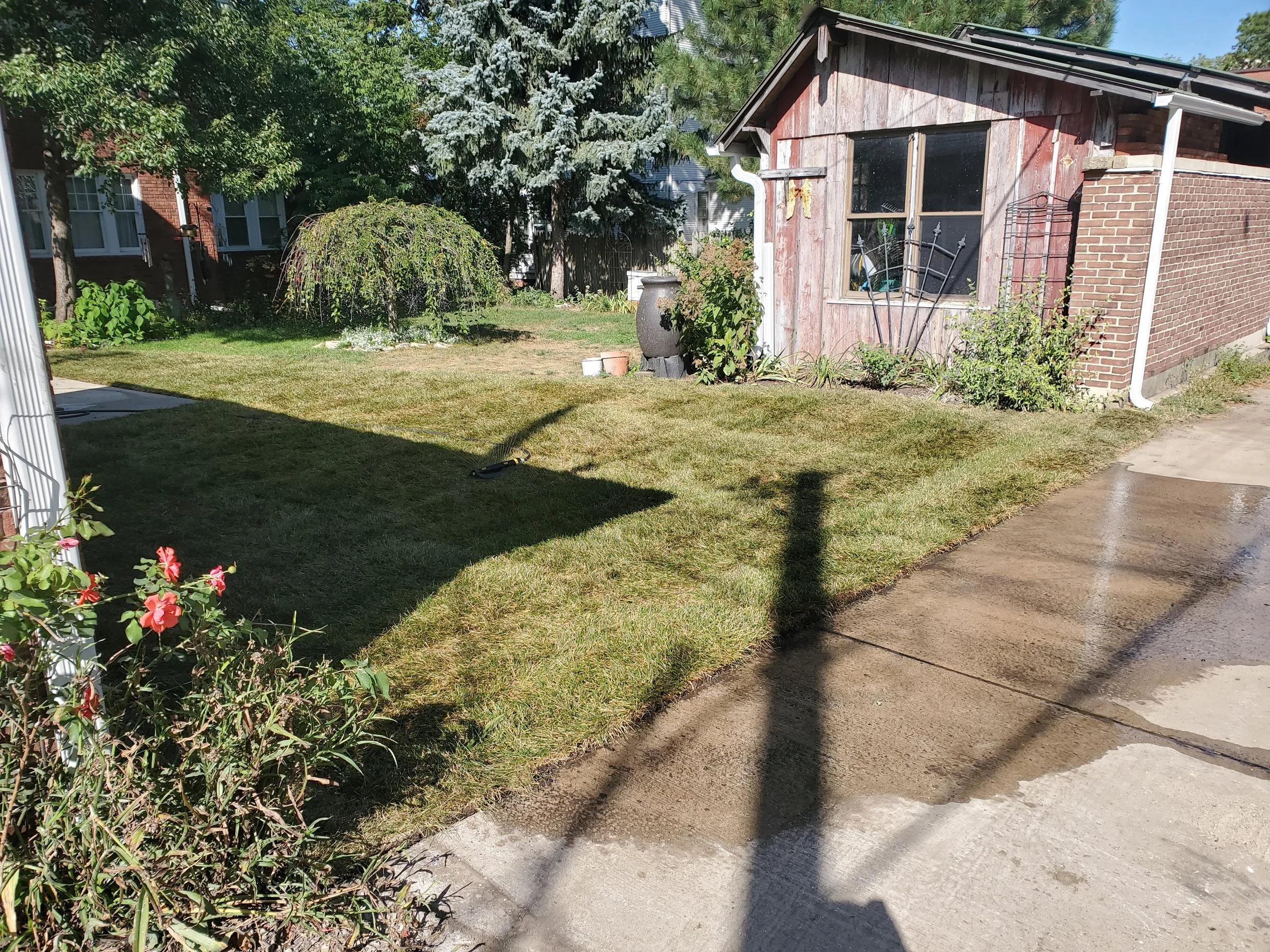 20200905_154839.jpg