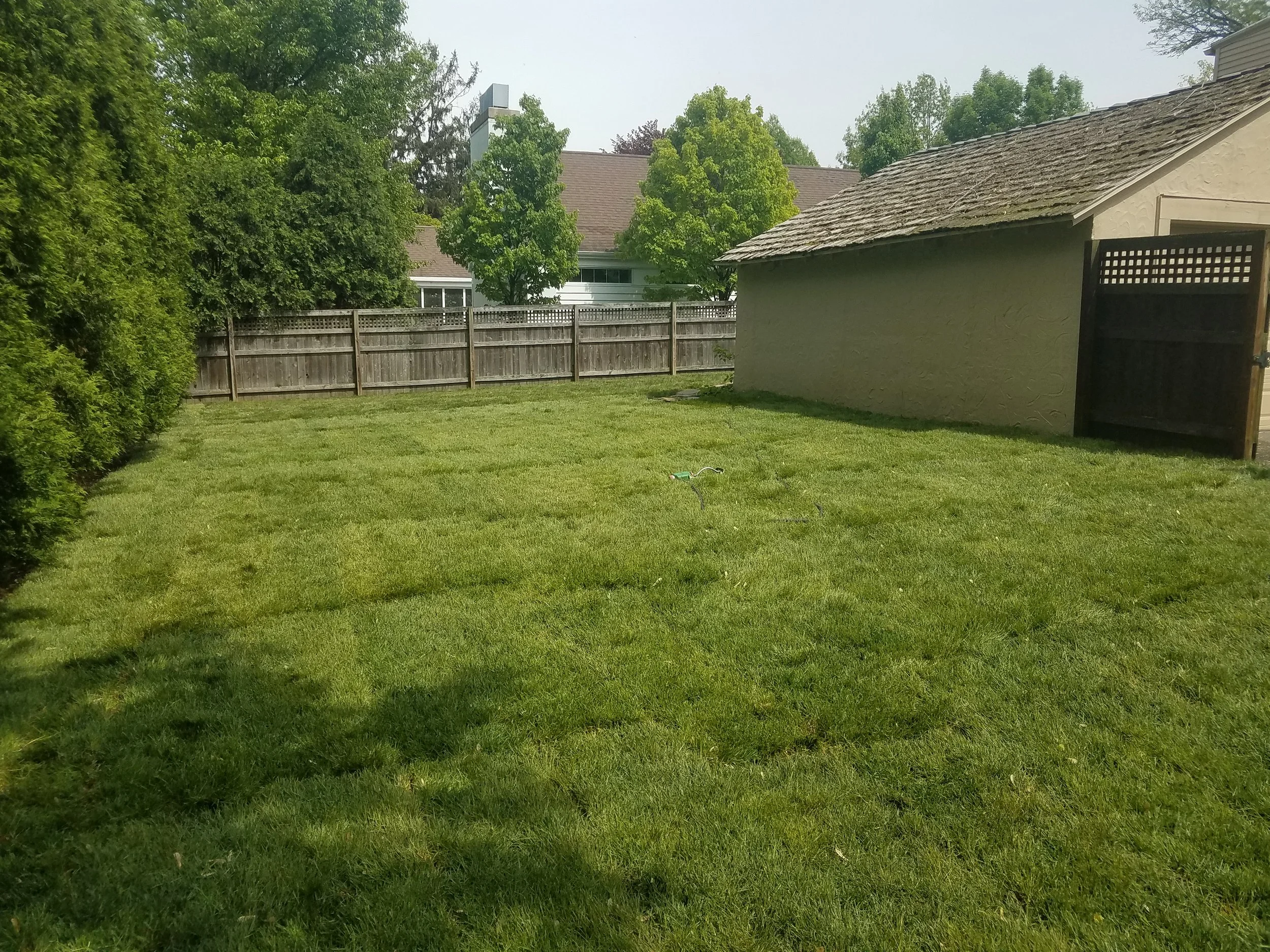 20190516_145544.jpg