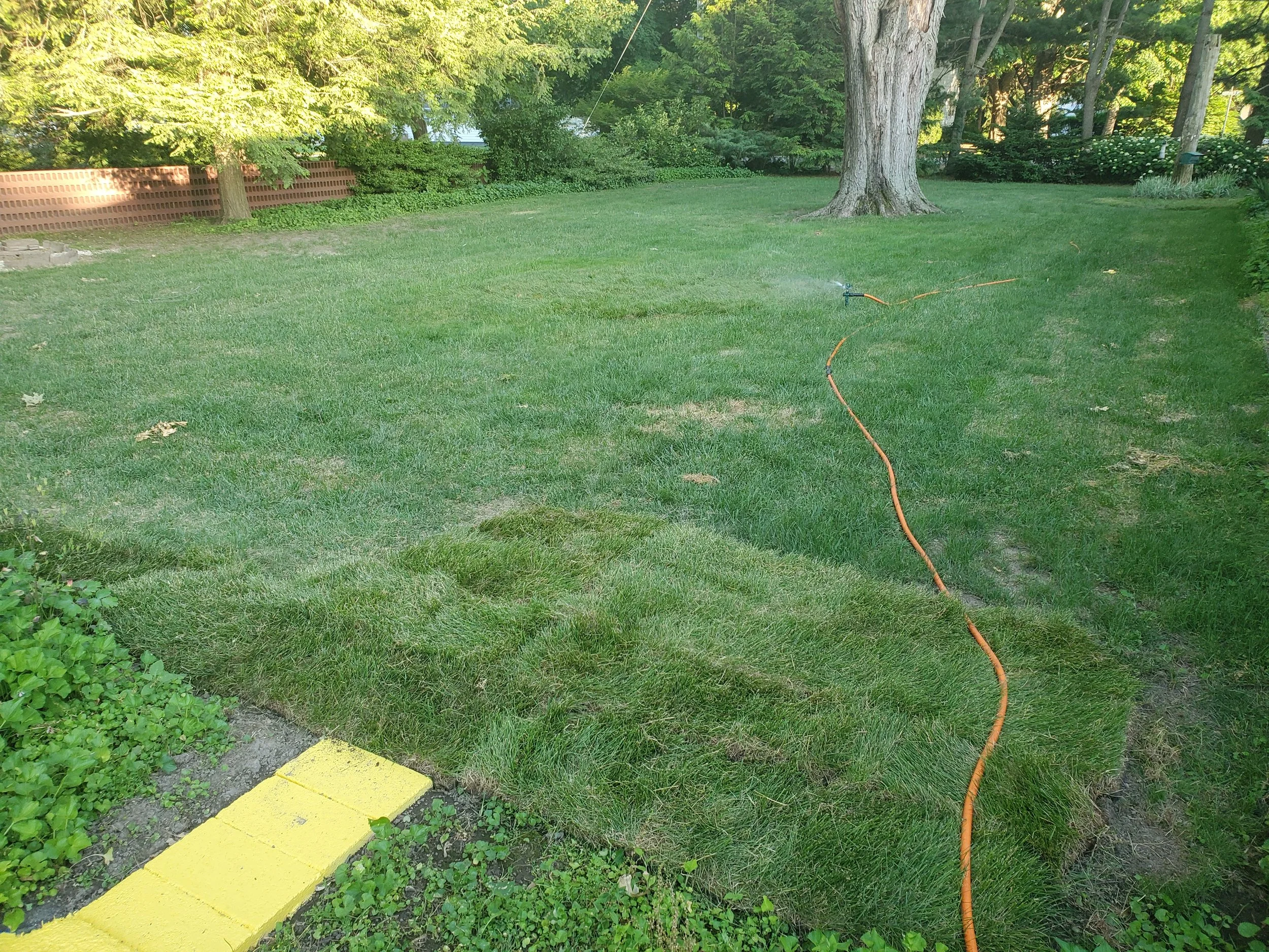 20220609_192431.jpg