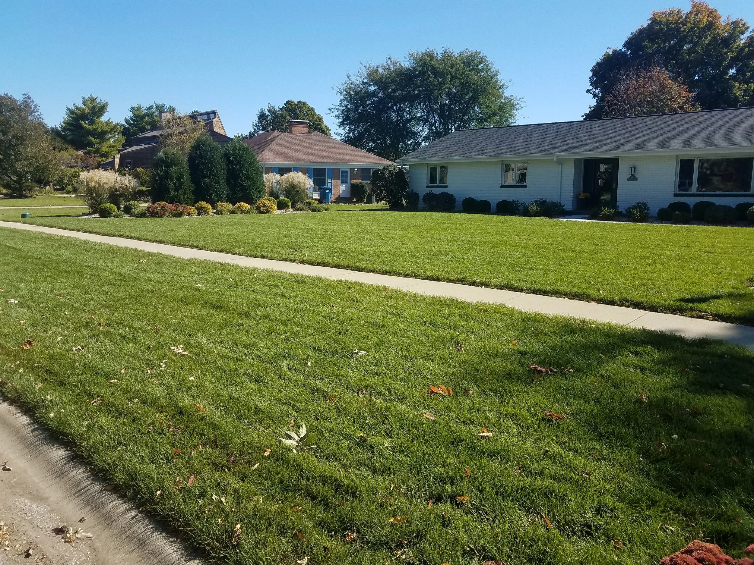 20181017_125921.jpg