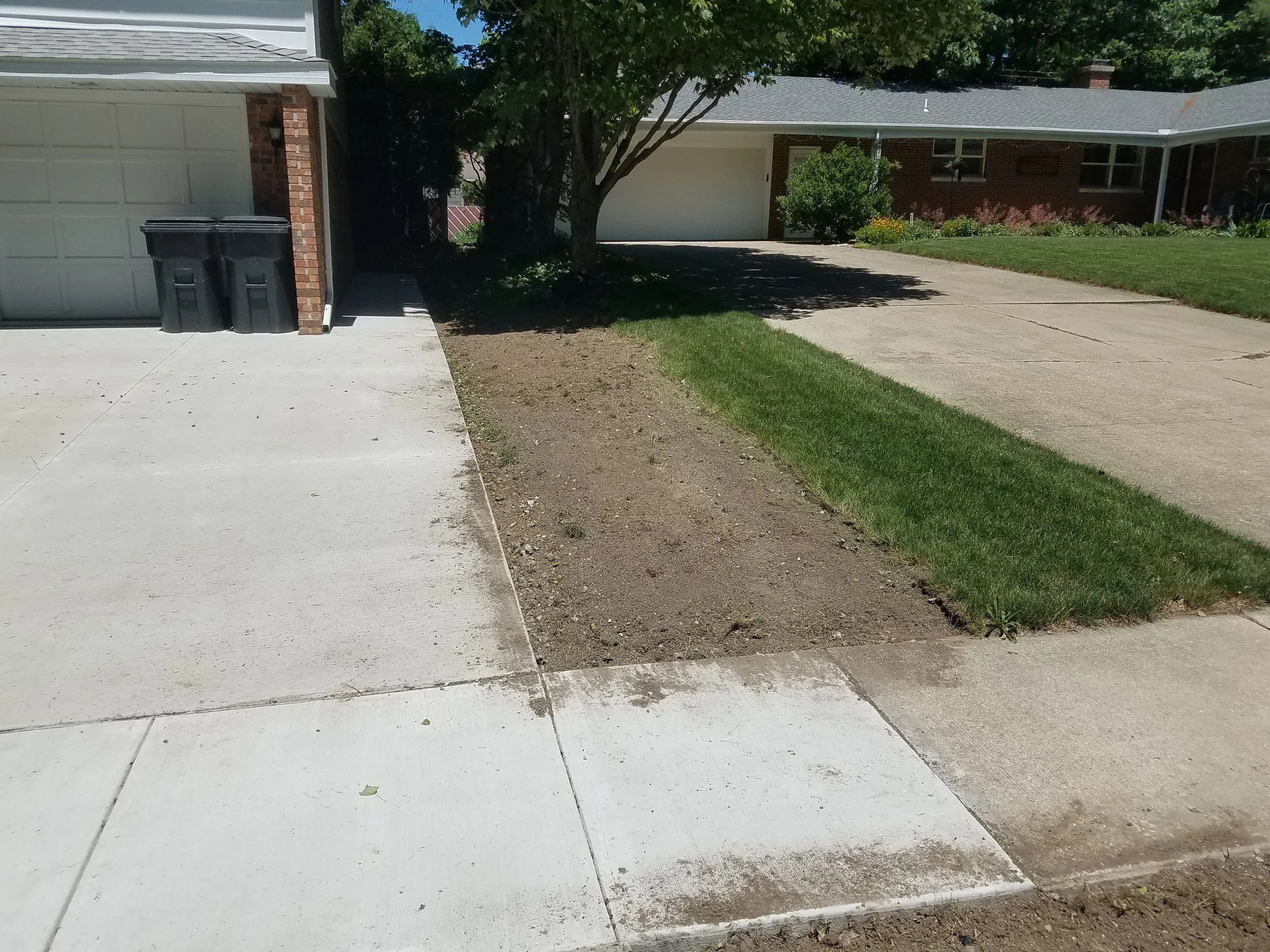 20180605_125103.jpg