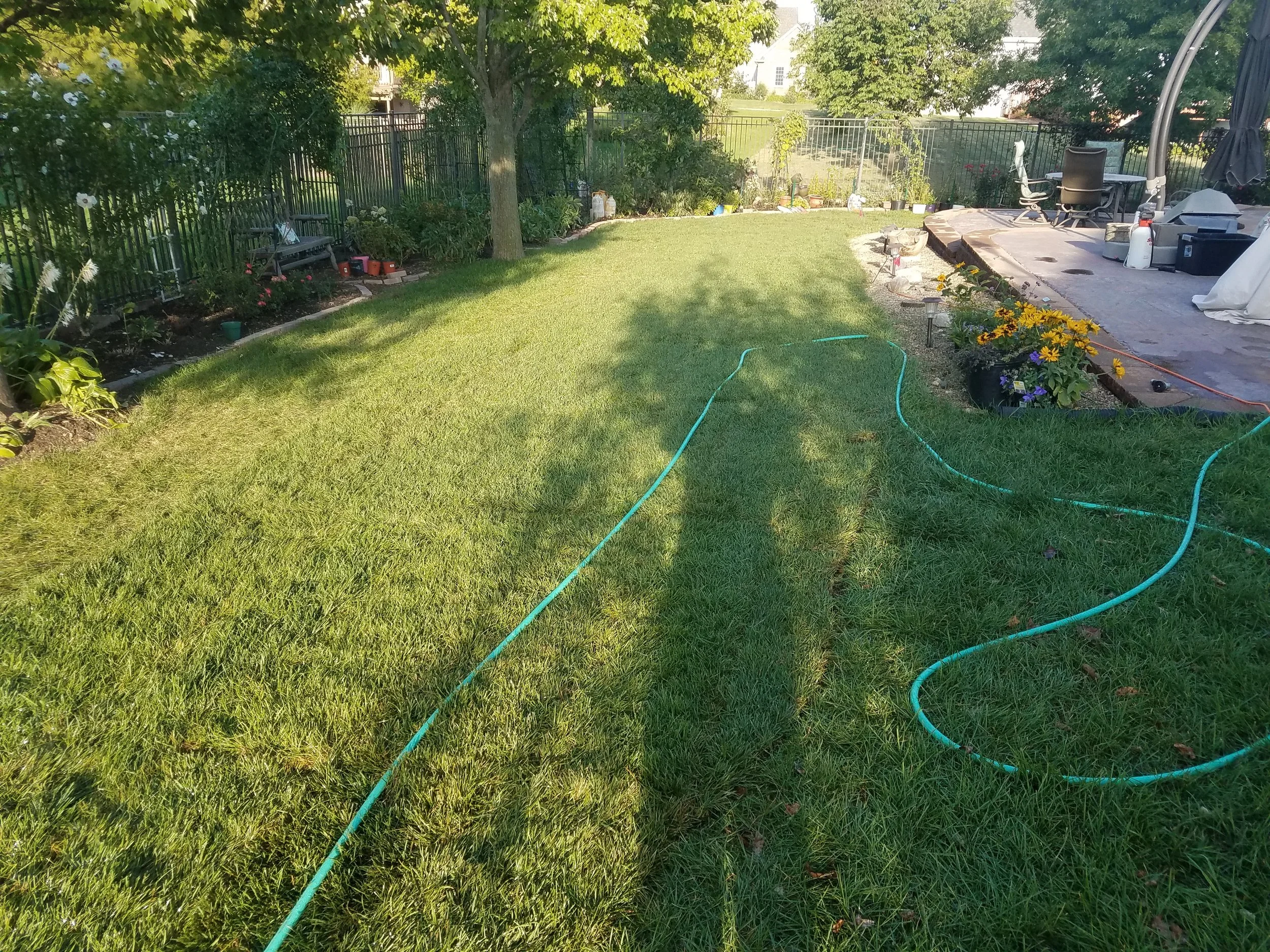 20170907_174816.jpg