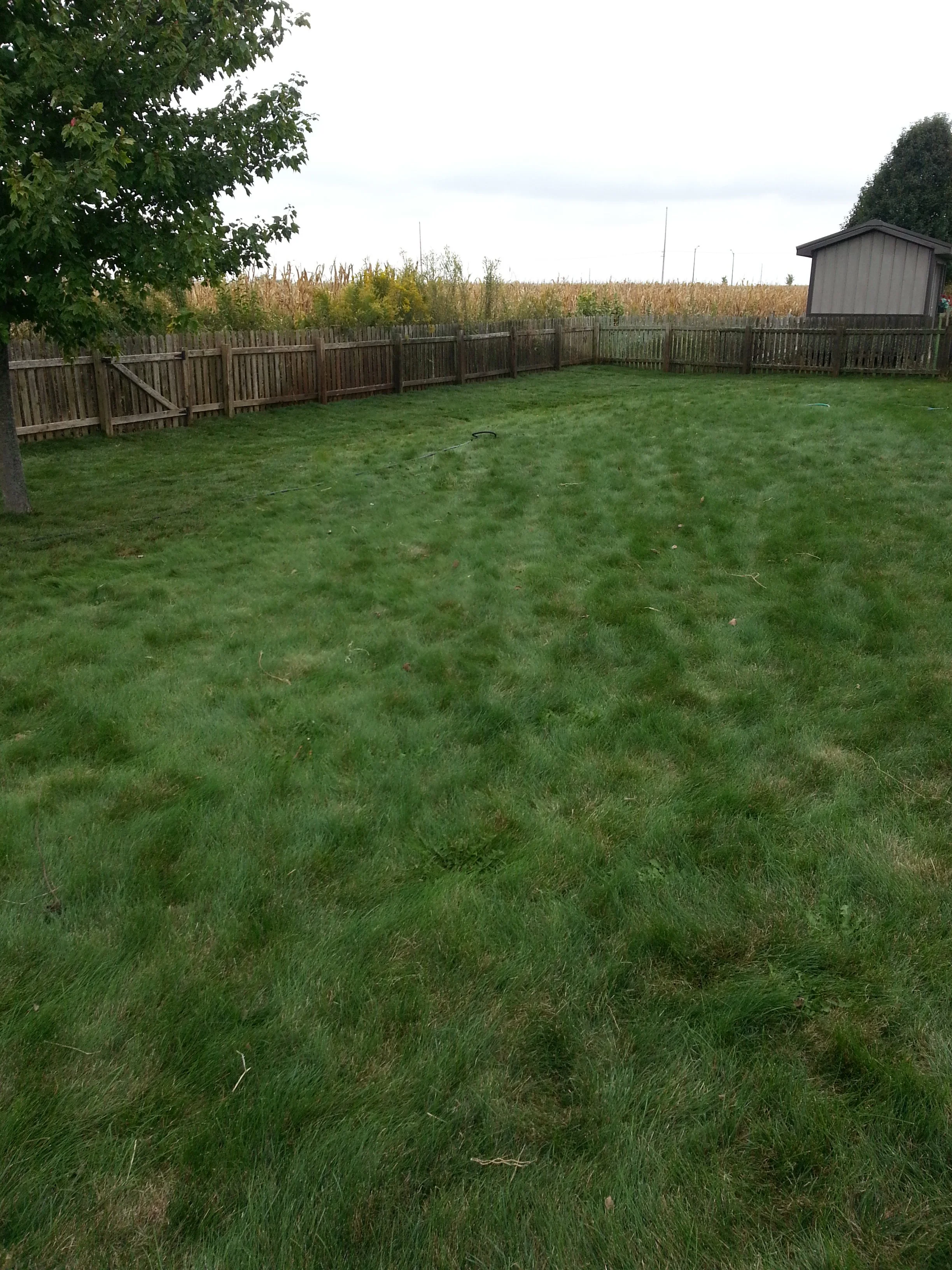 20150929_115421.jpg