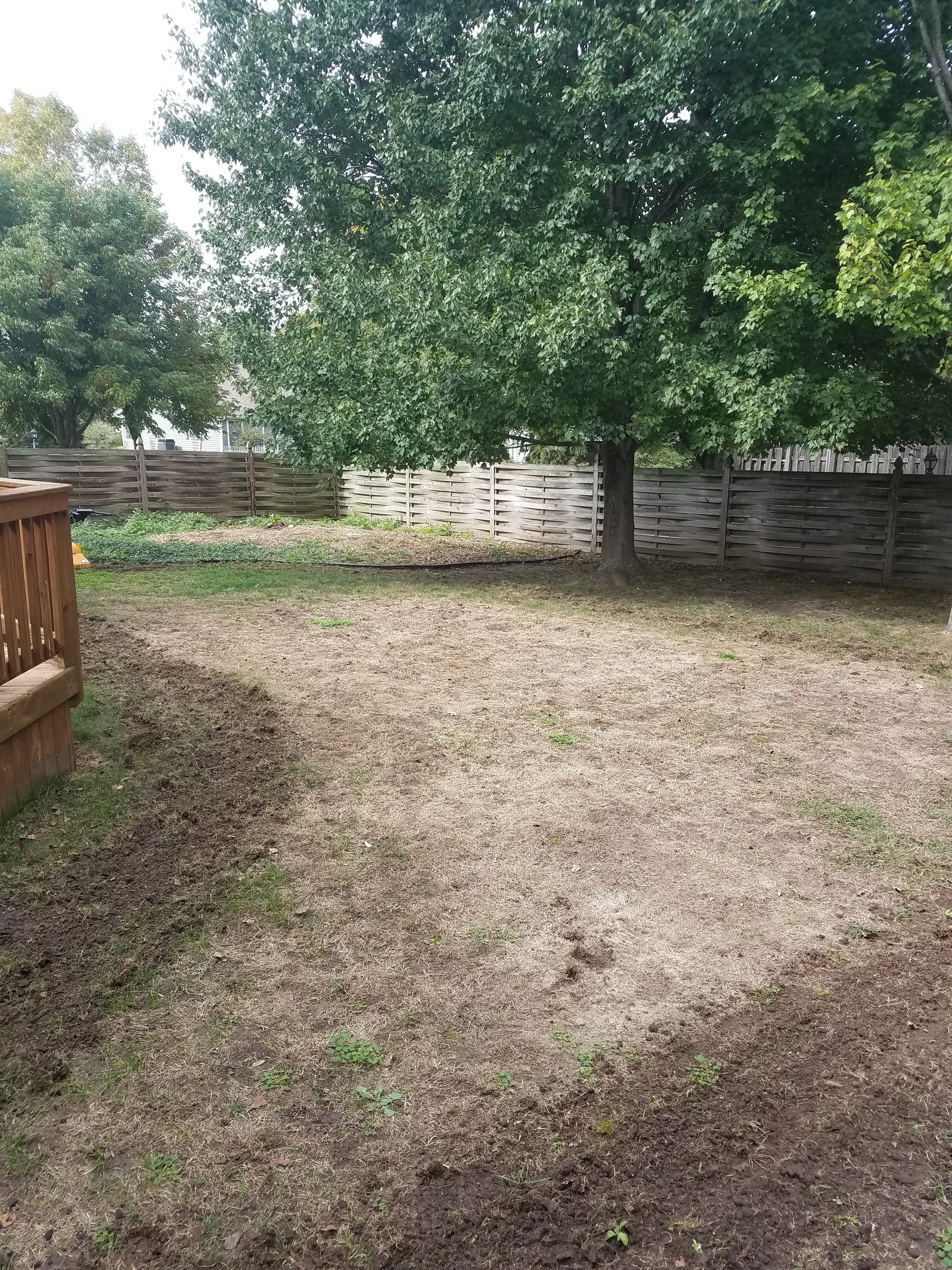 20161003_132257.jpg