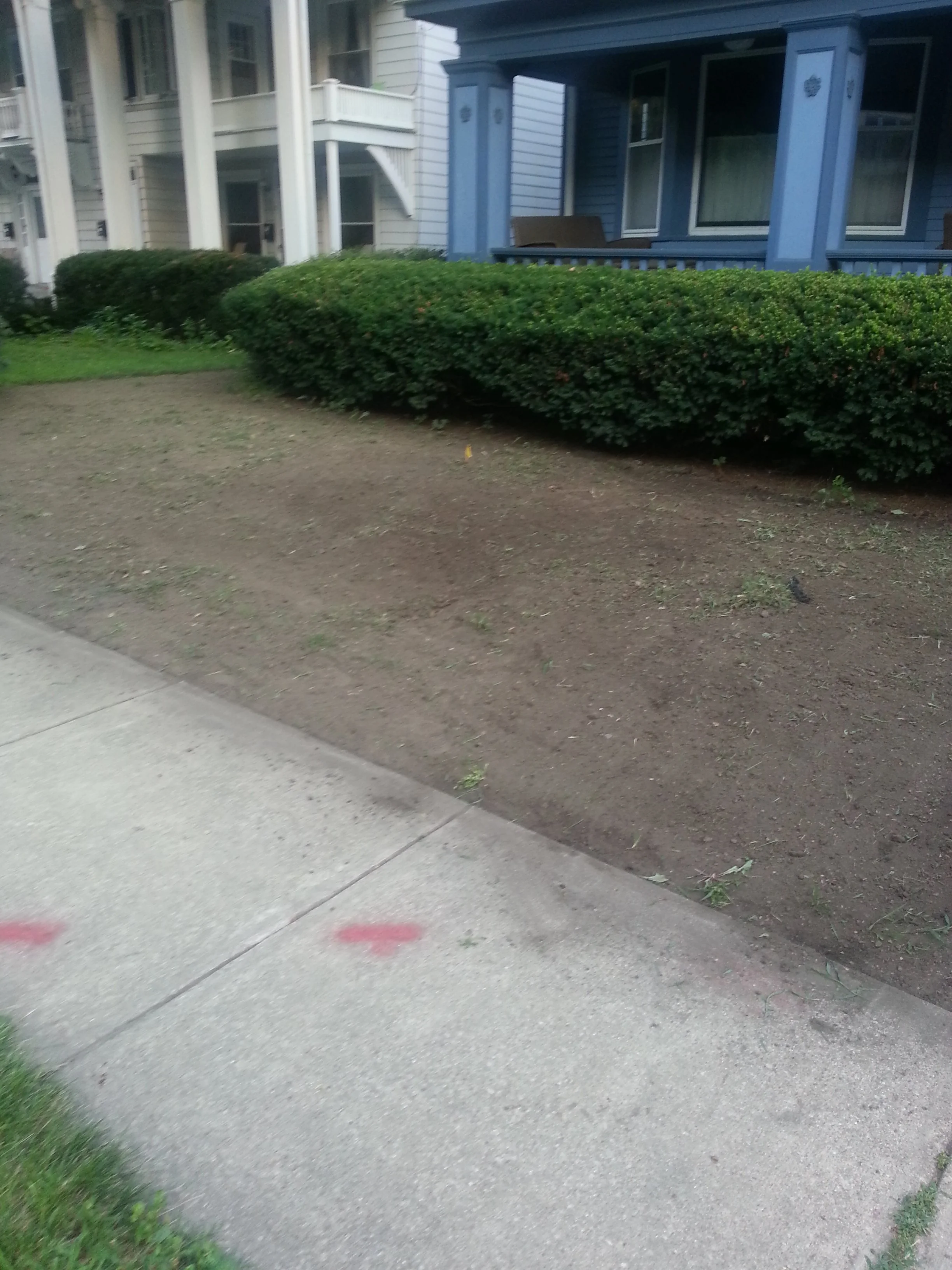 20160720_194632.jpg