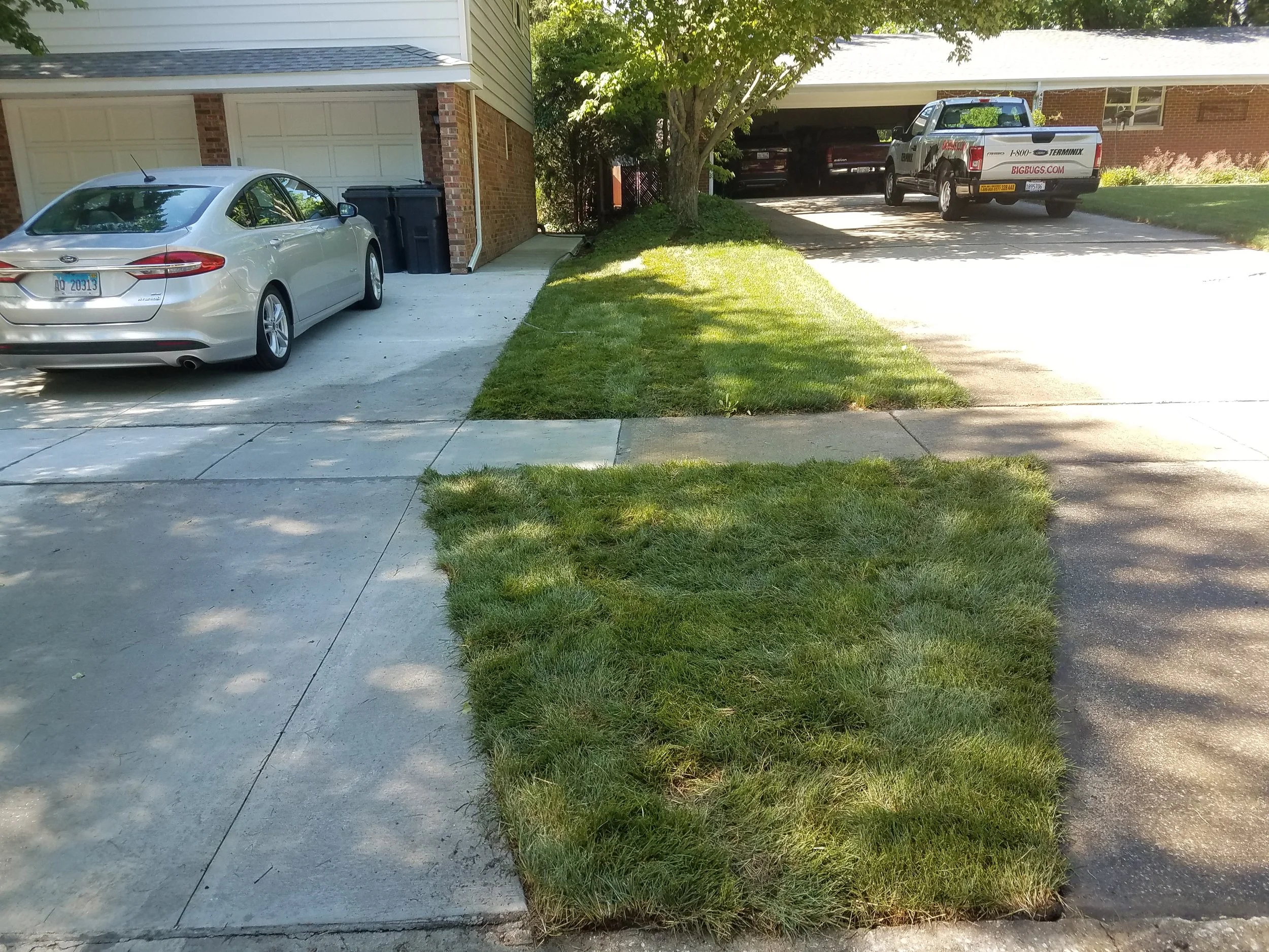 20180605_155653.jpg