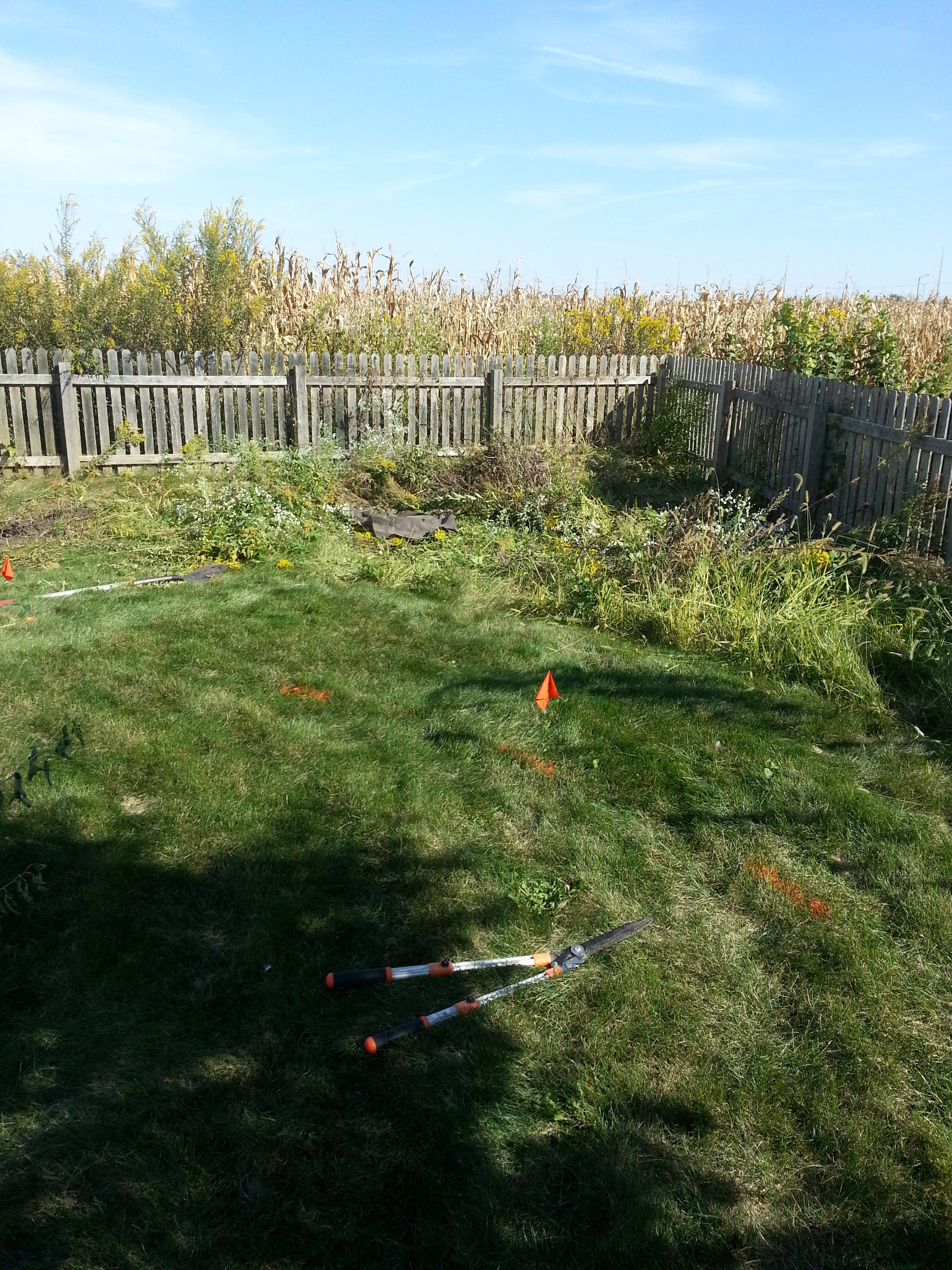 20150923_153115.jpg
