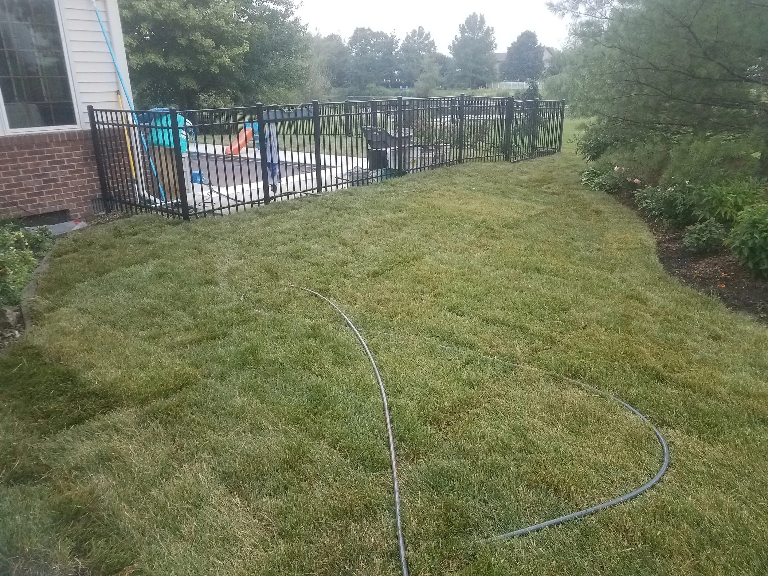 20190708_201404.jpg