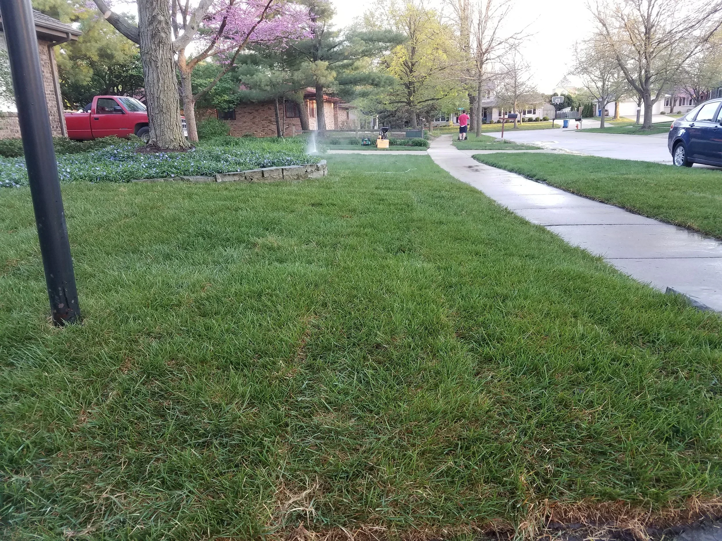 20170418_190446.jpg