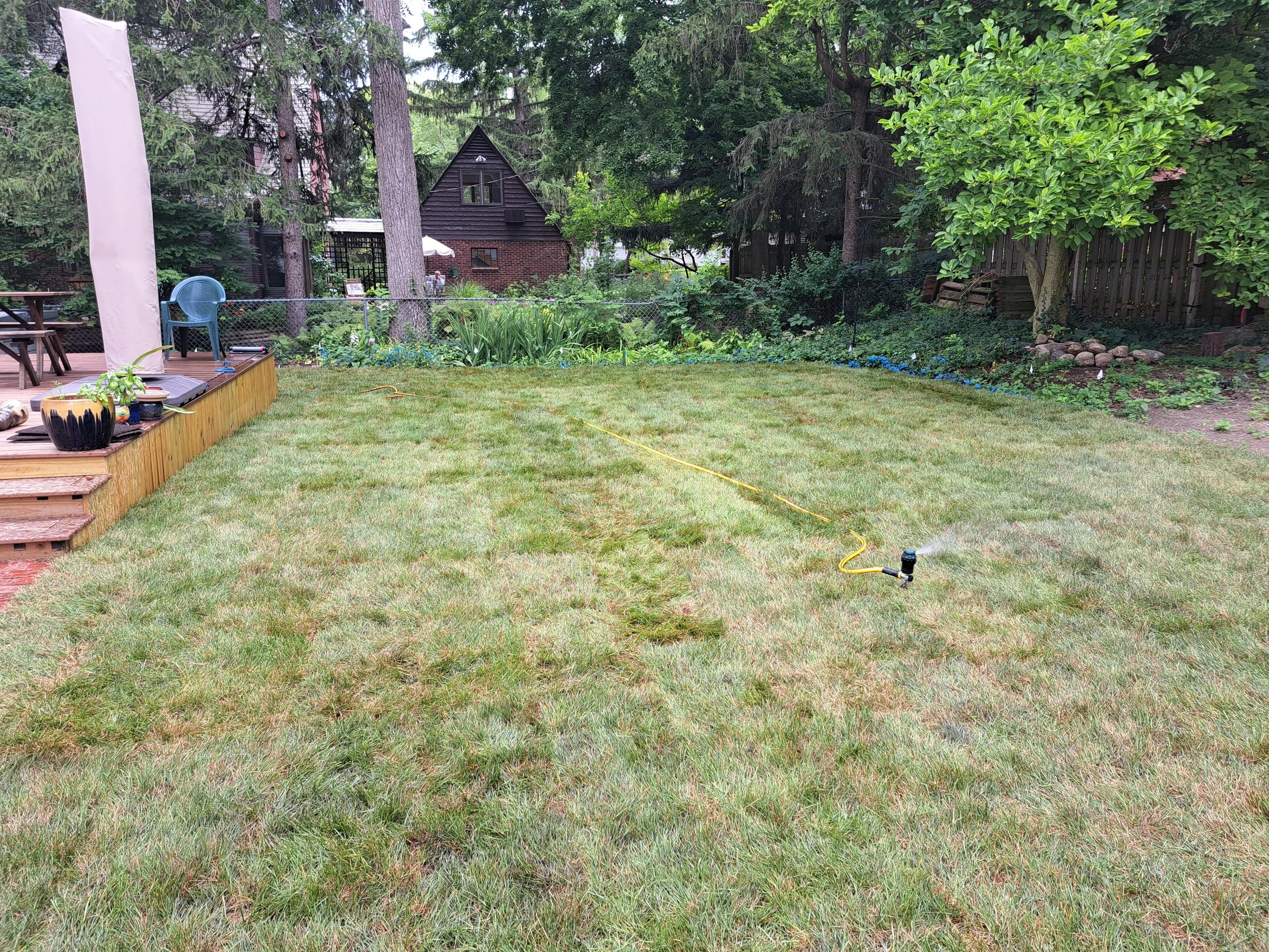 20230718_113713.jpg