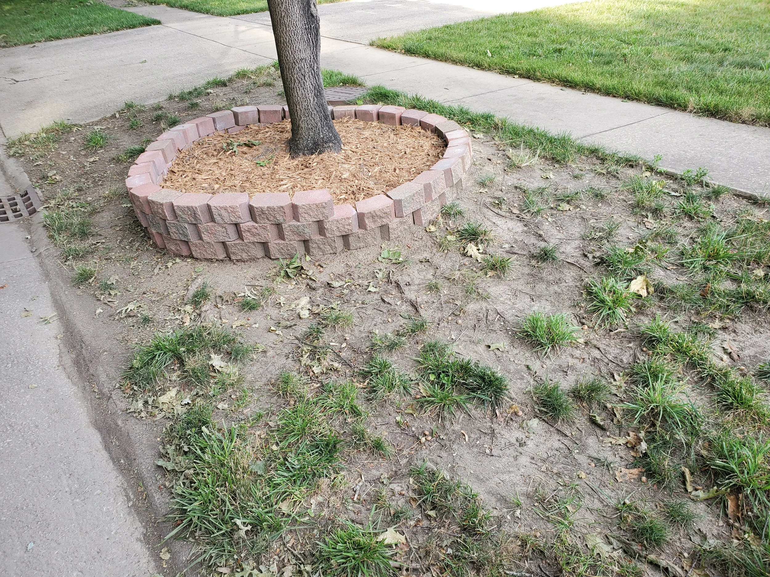 20200714_182924.jpg