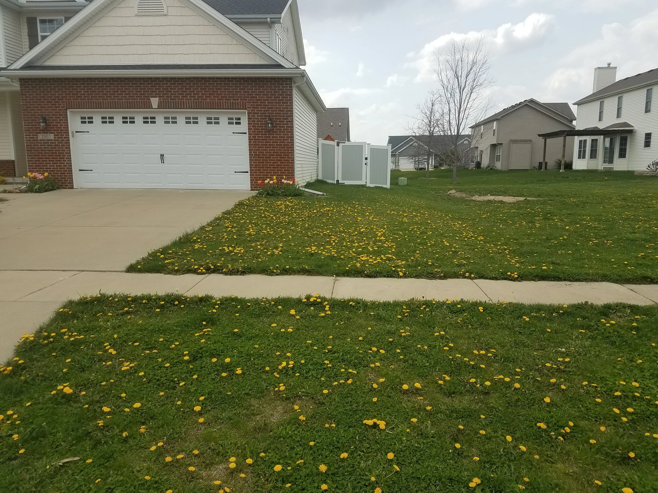 20170413_143006.jpg