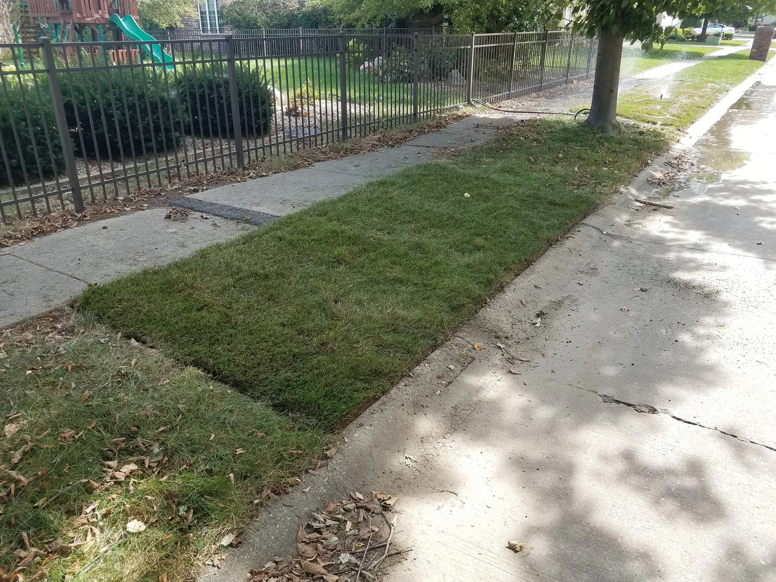 20181001_131834.jpg