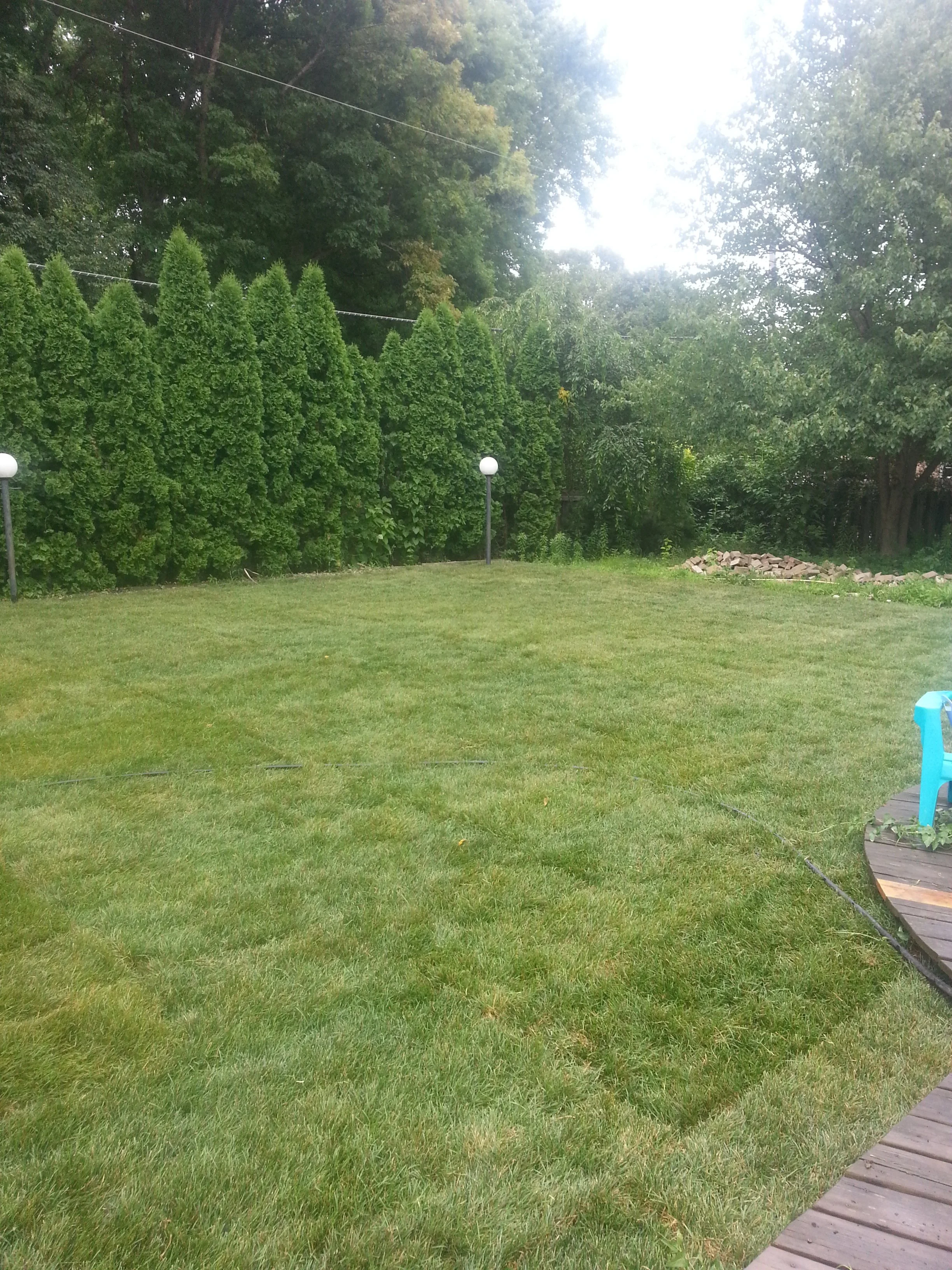 20160630_151613.jpg