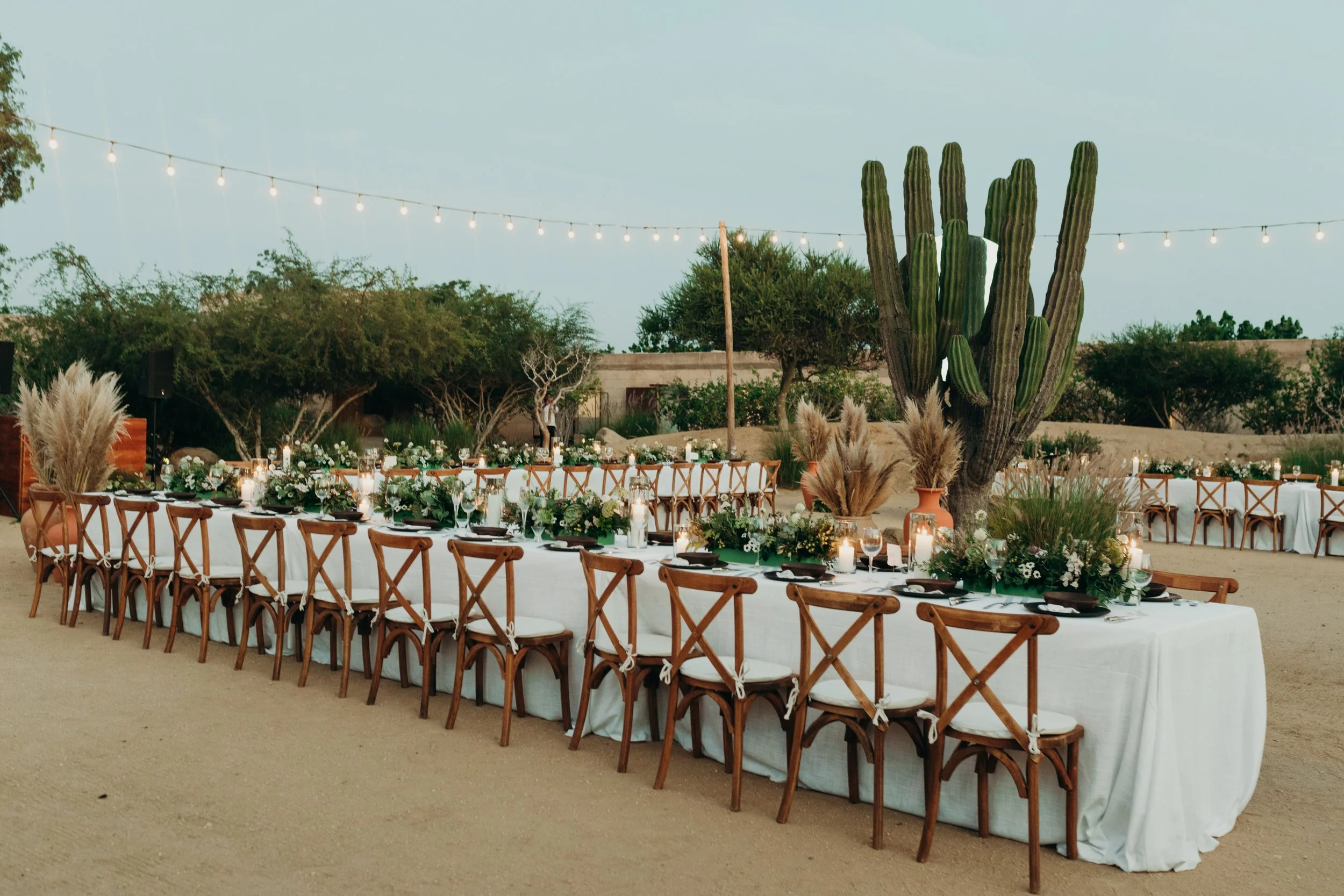 BLYTHEwedMARKparaderoBAJA2025-1094.jpg